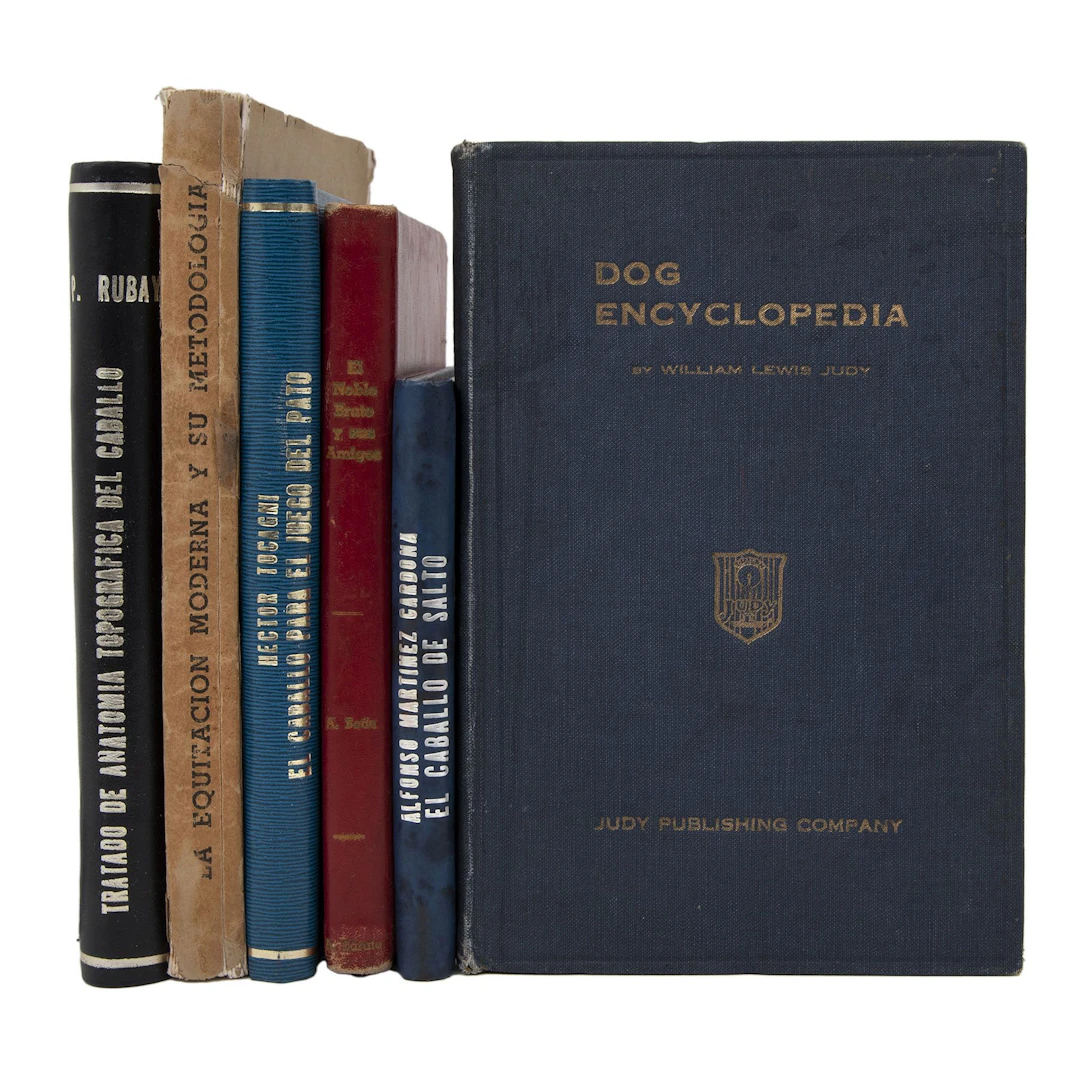 LOTE DE LIBROS SOBRE CABALLOS SIGLO XX Varias épocas e idiomas. Títulos: