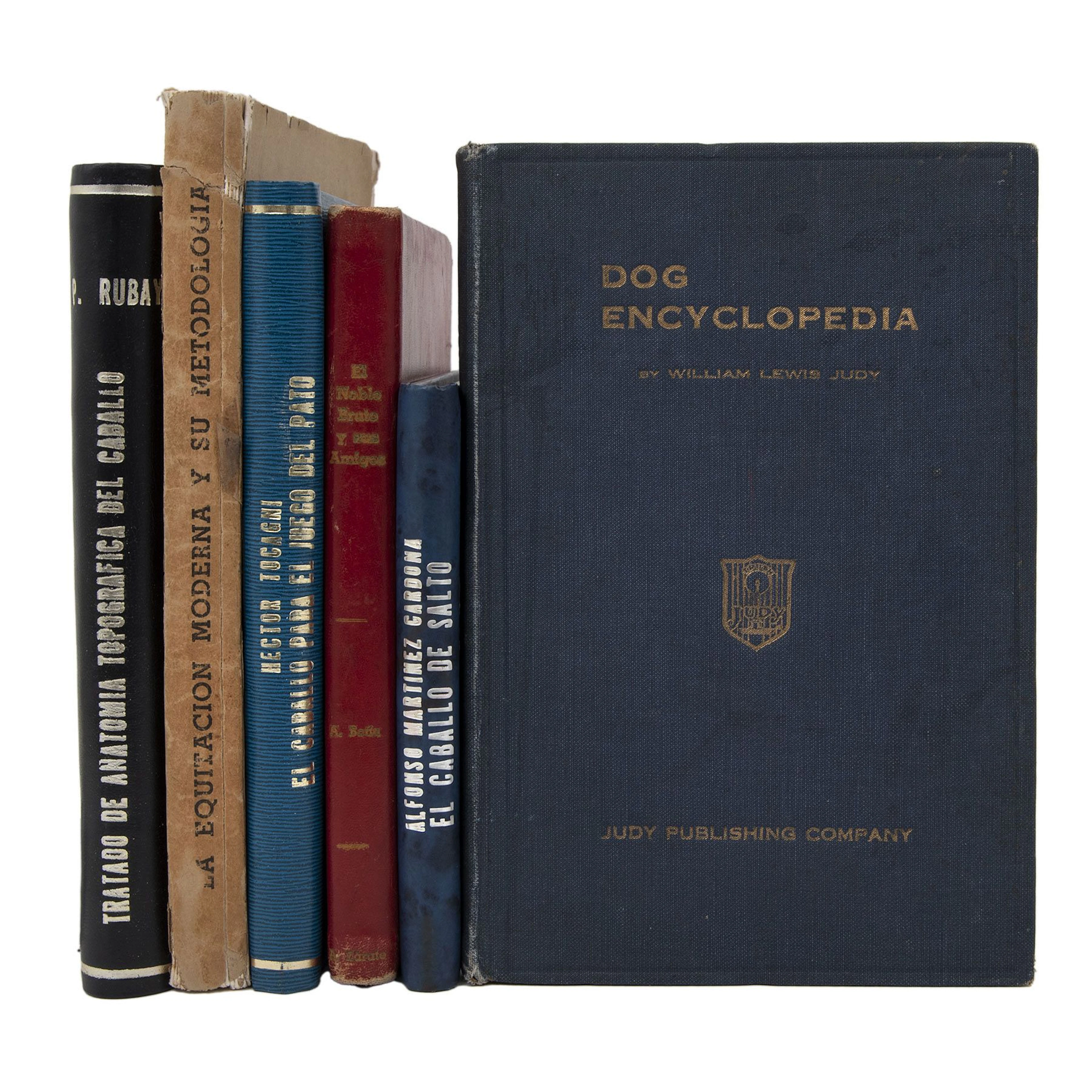 LOTE DE LIBROS SOBRE CABALLOS SIGLO XX Varias épocas e idiomas. Títulos: