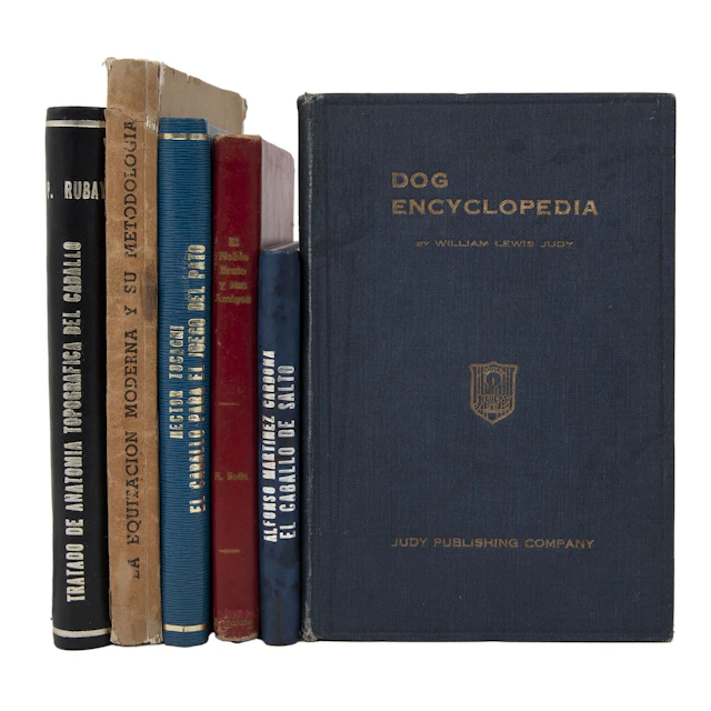 LOTE DE LIBROS SOBRE CABALLOS SIGLO XX Varias épocas e idiomas. Títulos: