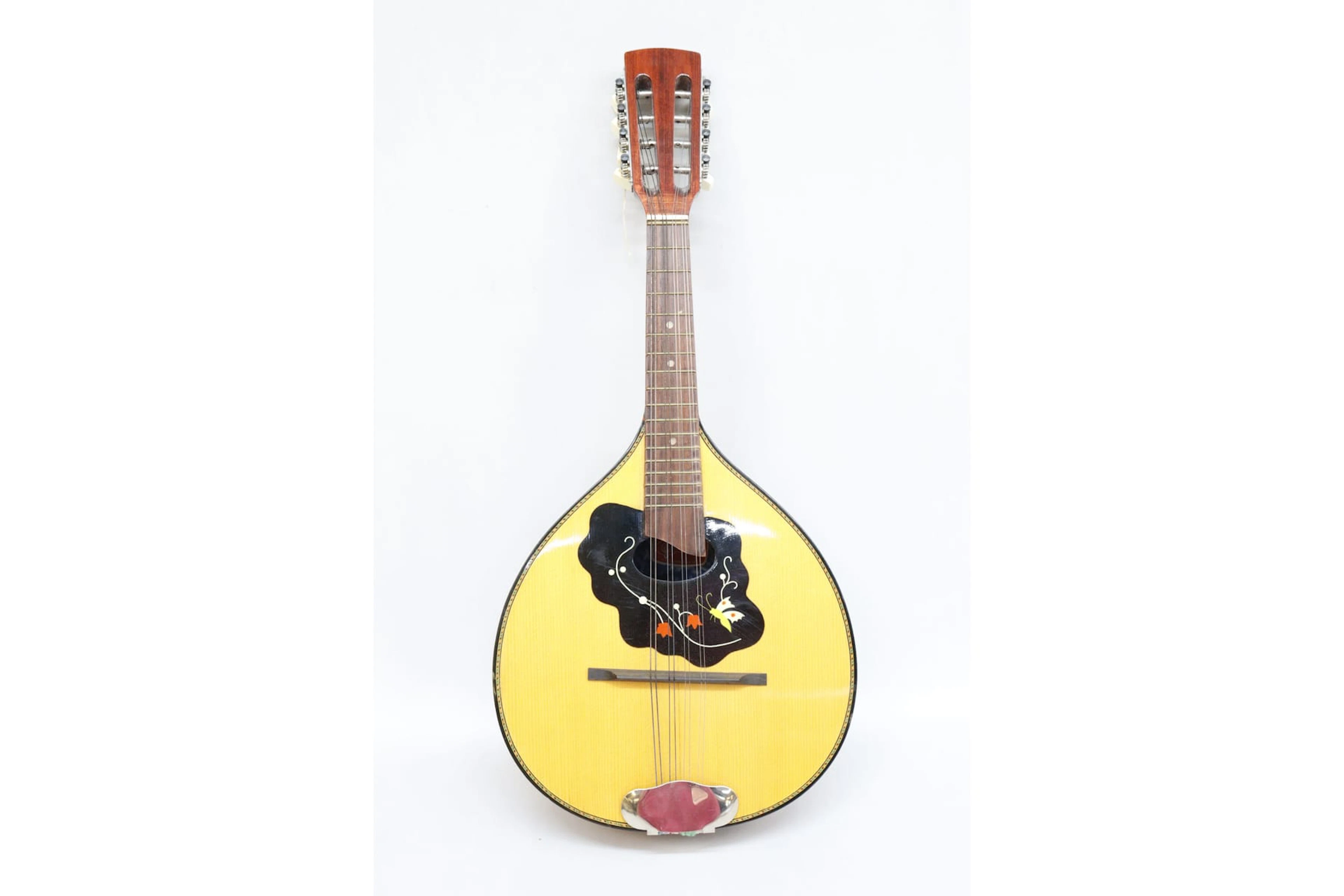 Mandolin med tygfodral