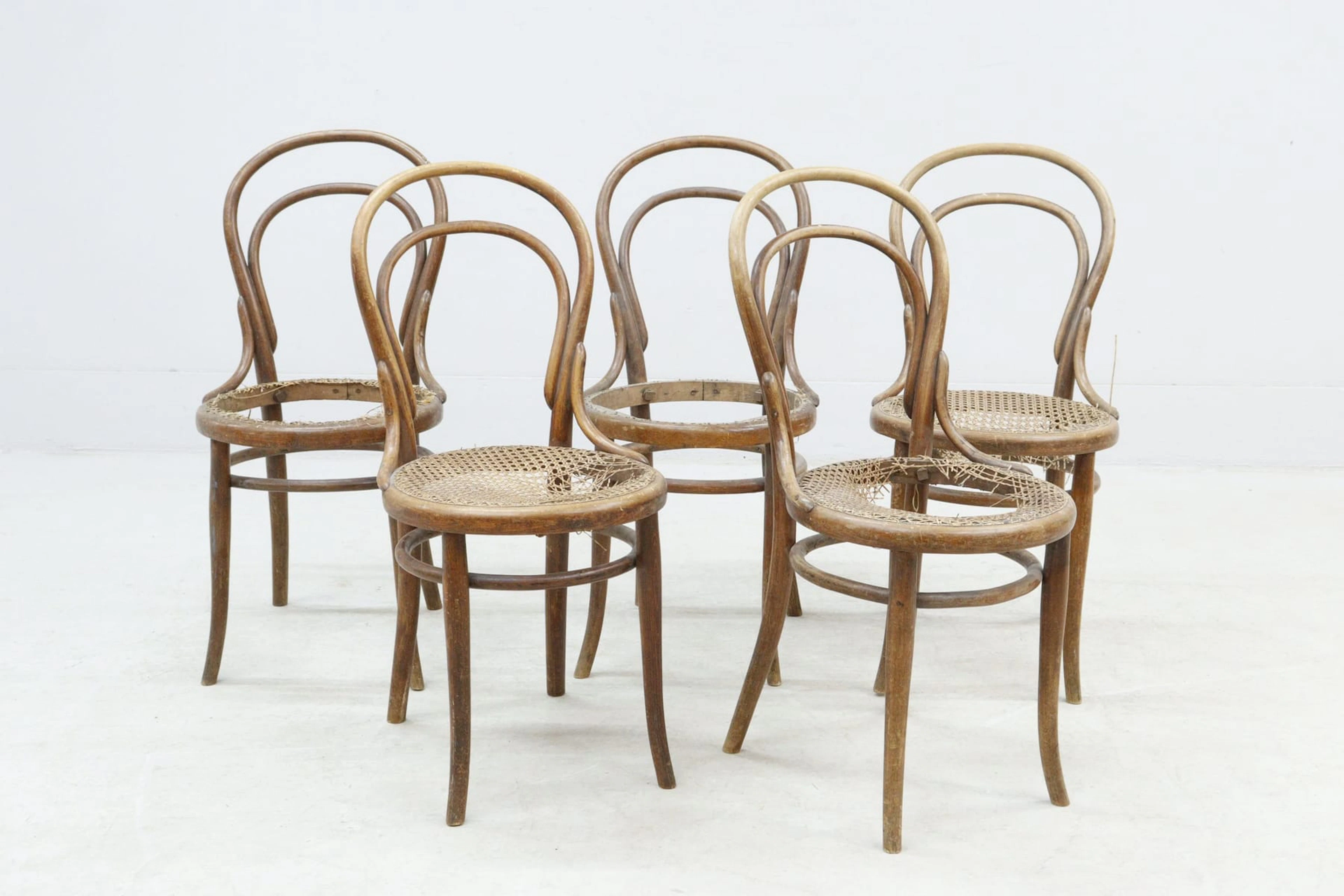 Stolar, 5st, Thonet, etikettmärkta