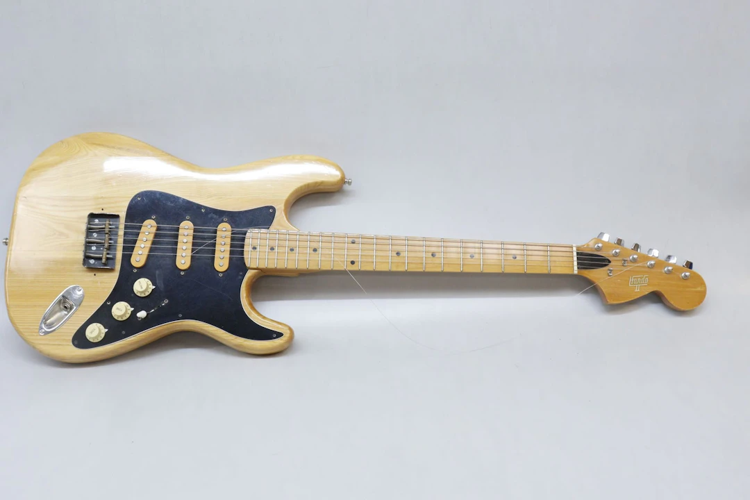 Elgitarr, Hondo 2