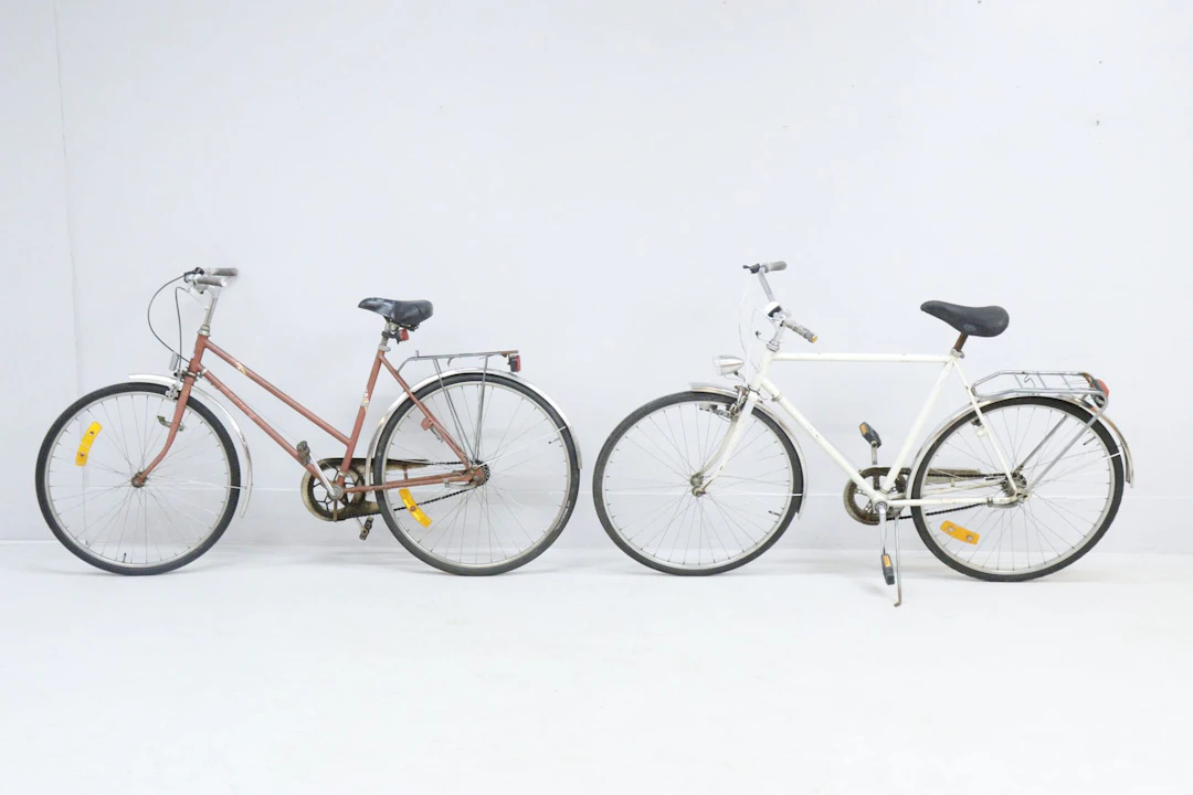 Dam- och herrcykel, 3 växlar