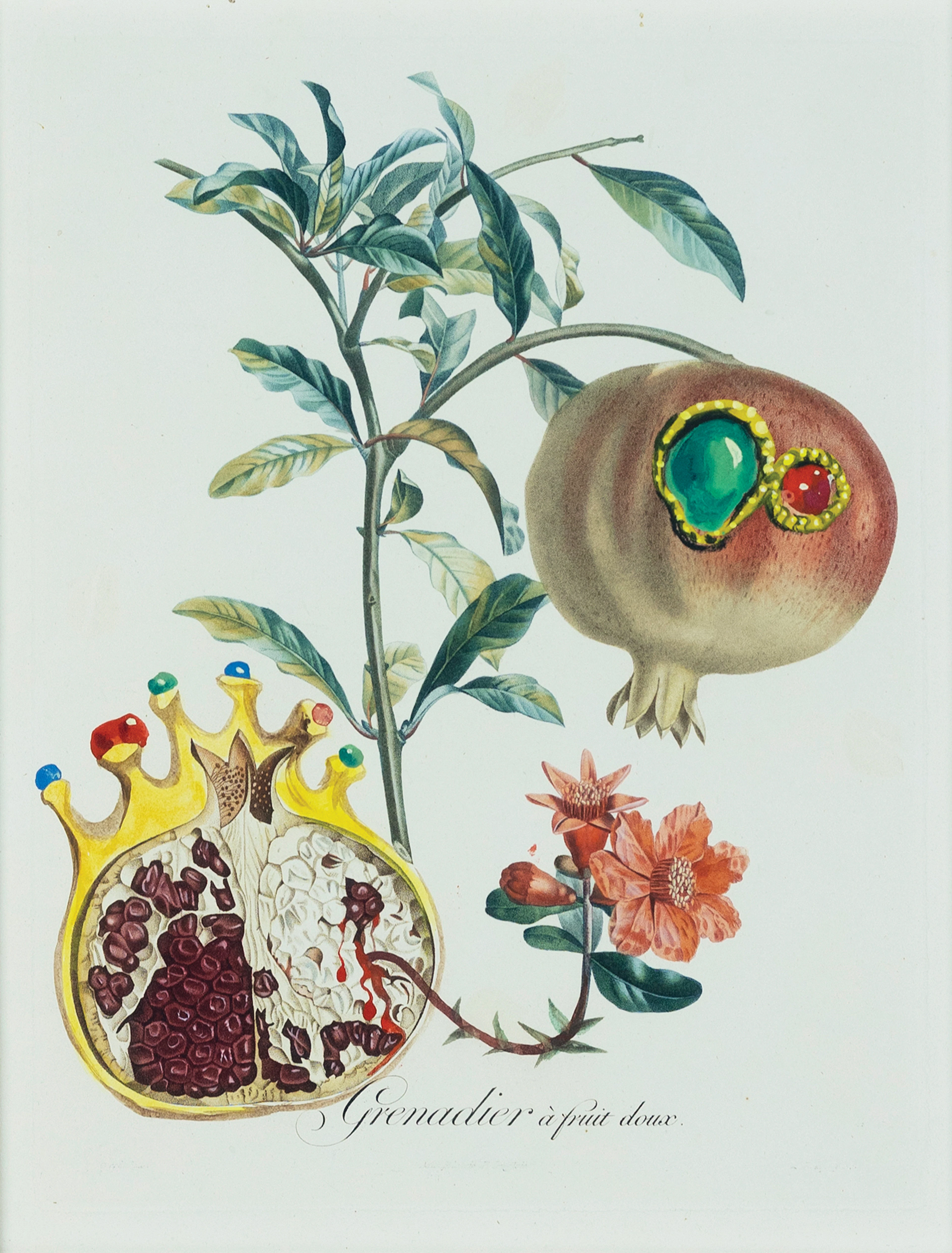 Salvador Dali Watercolor over a Pierre Antoine Poiteau stipple engraving