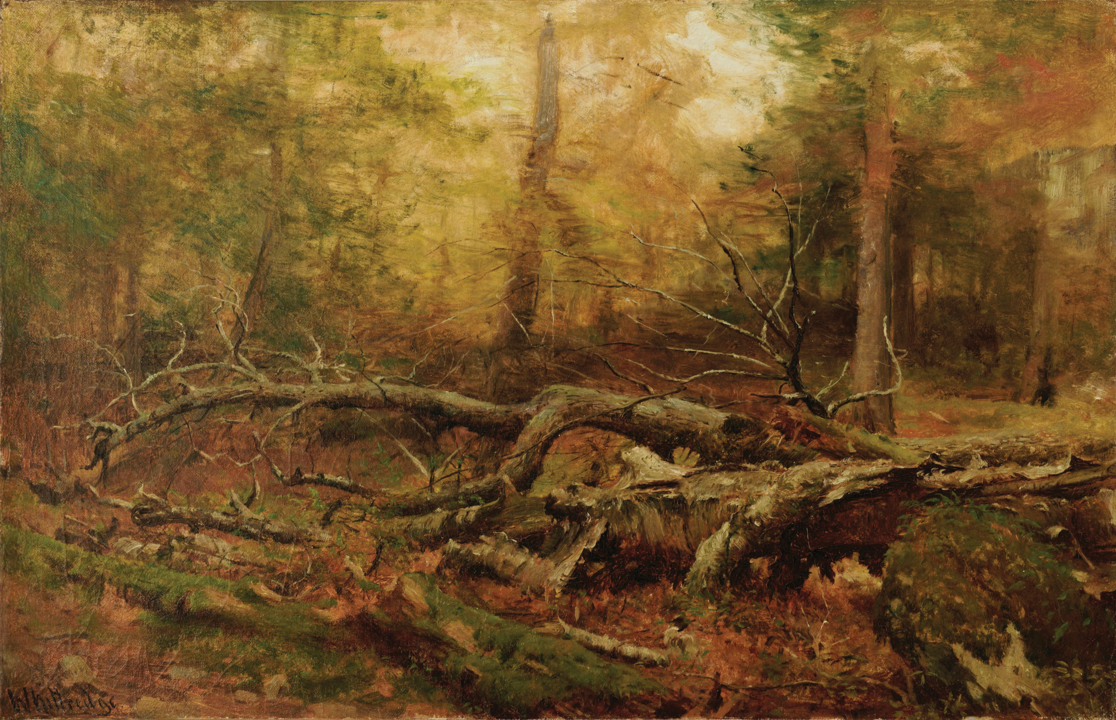 Worthington Whittredge Oil Study in the Forest