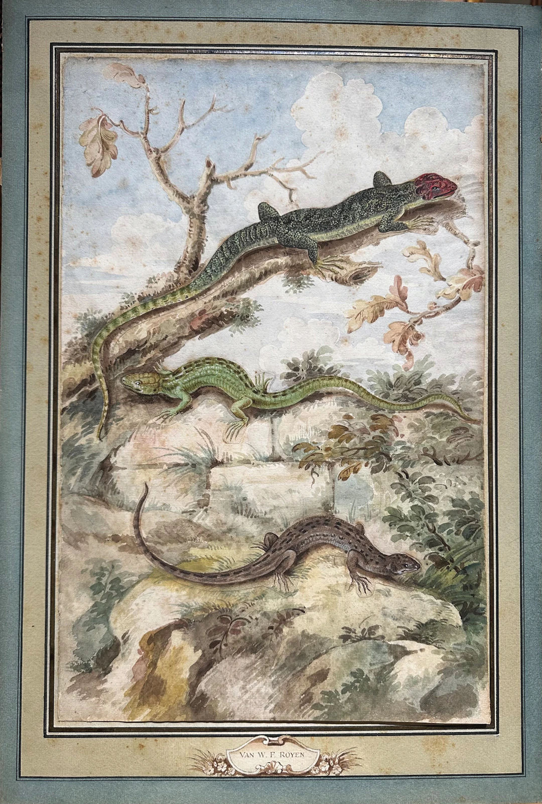 Willem Frederiksz Van Royen Watercolor, Three Lizards in a Landscape