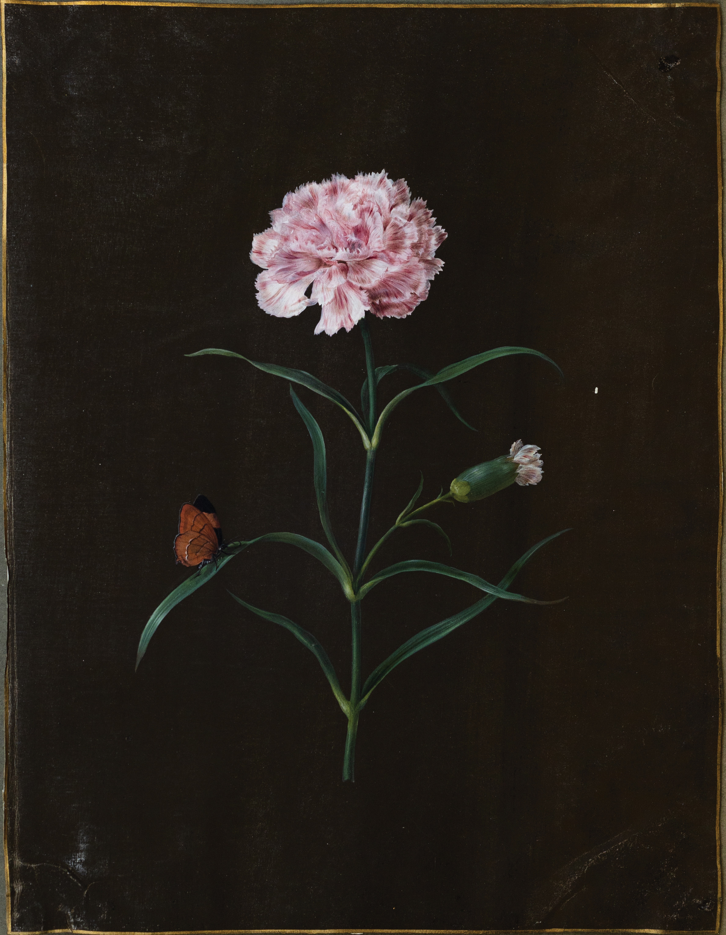 Barbara Regina Dietzsch Watercolor, Rose with a Butterfly and Spider