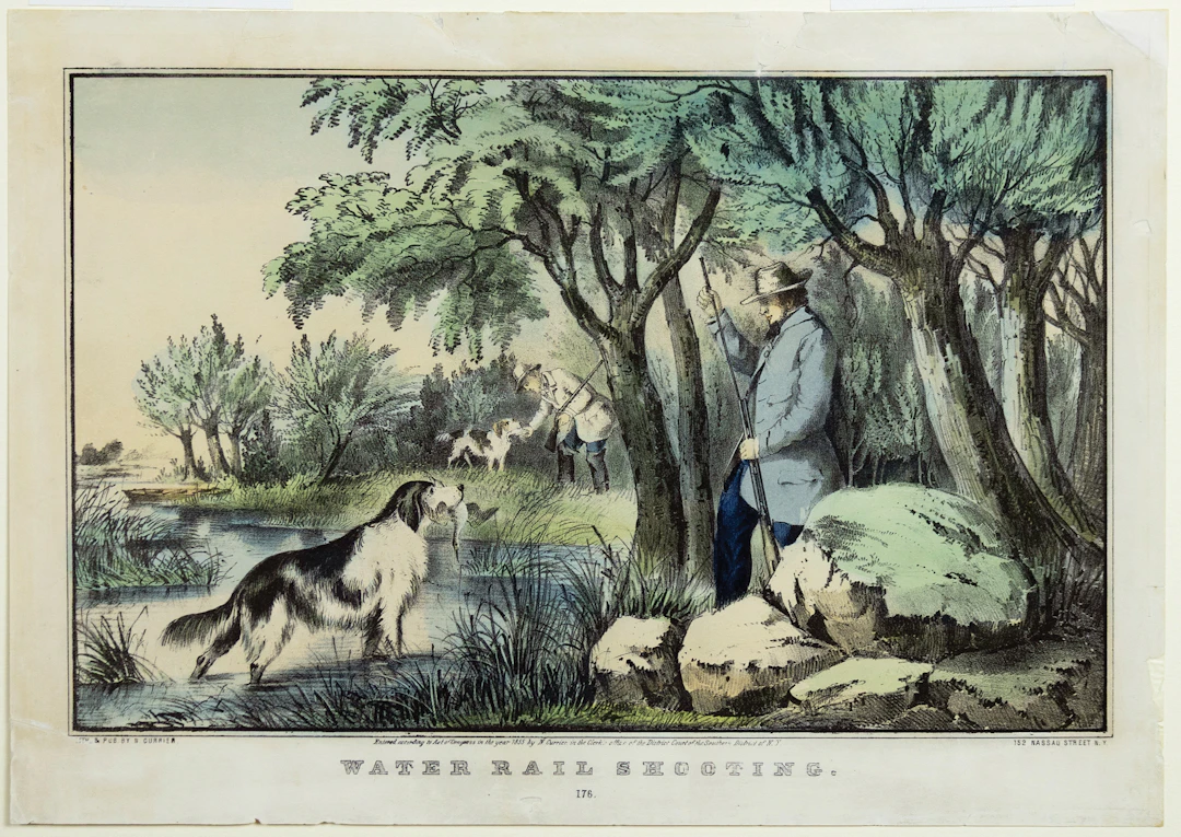 Currier & Ives Lithograph Water Rail Shooting