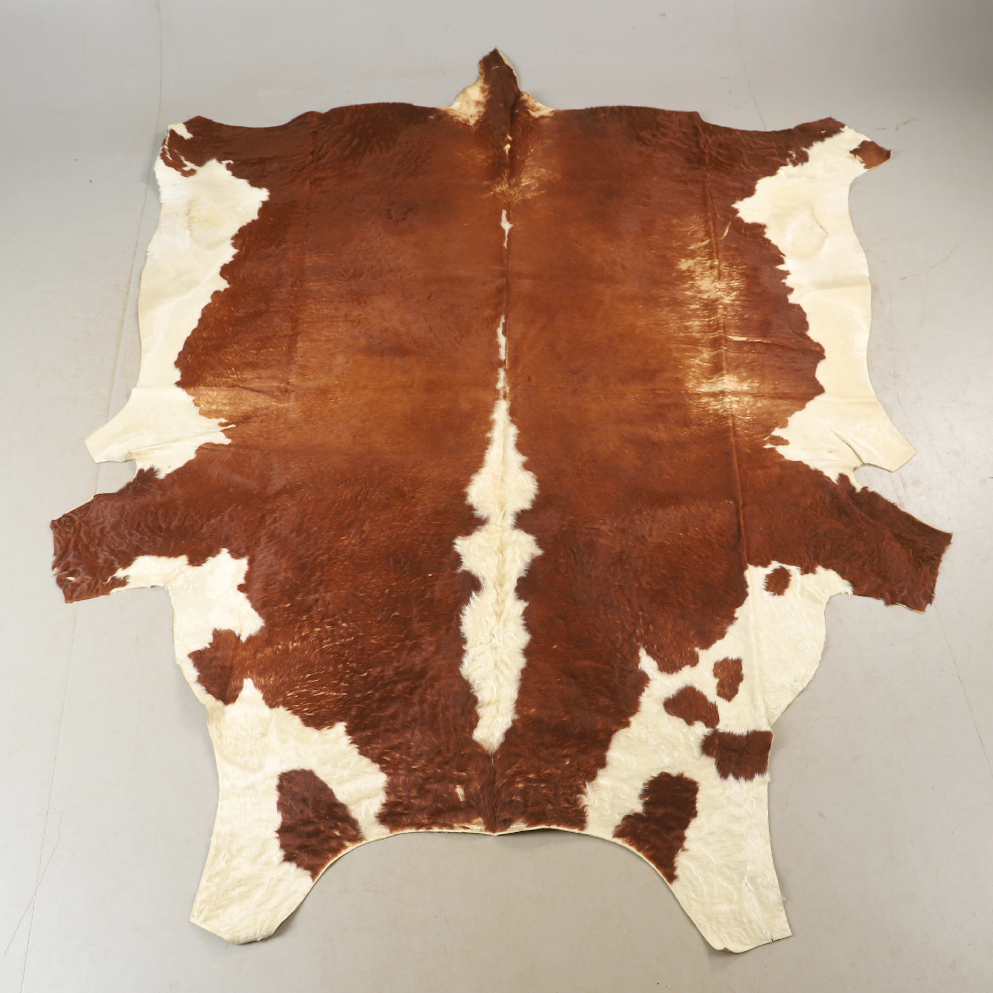 KOSKINN, ca 290 x 235 cm.
