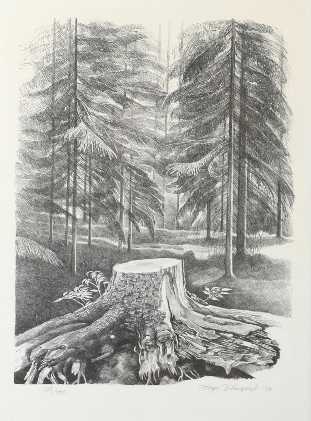 JÖRGEN ZETTERQUIST. Landskap med stubbe, litografi, signerad -76.