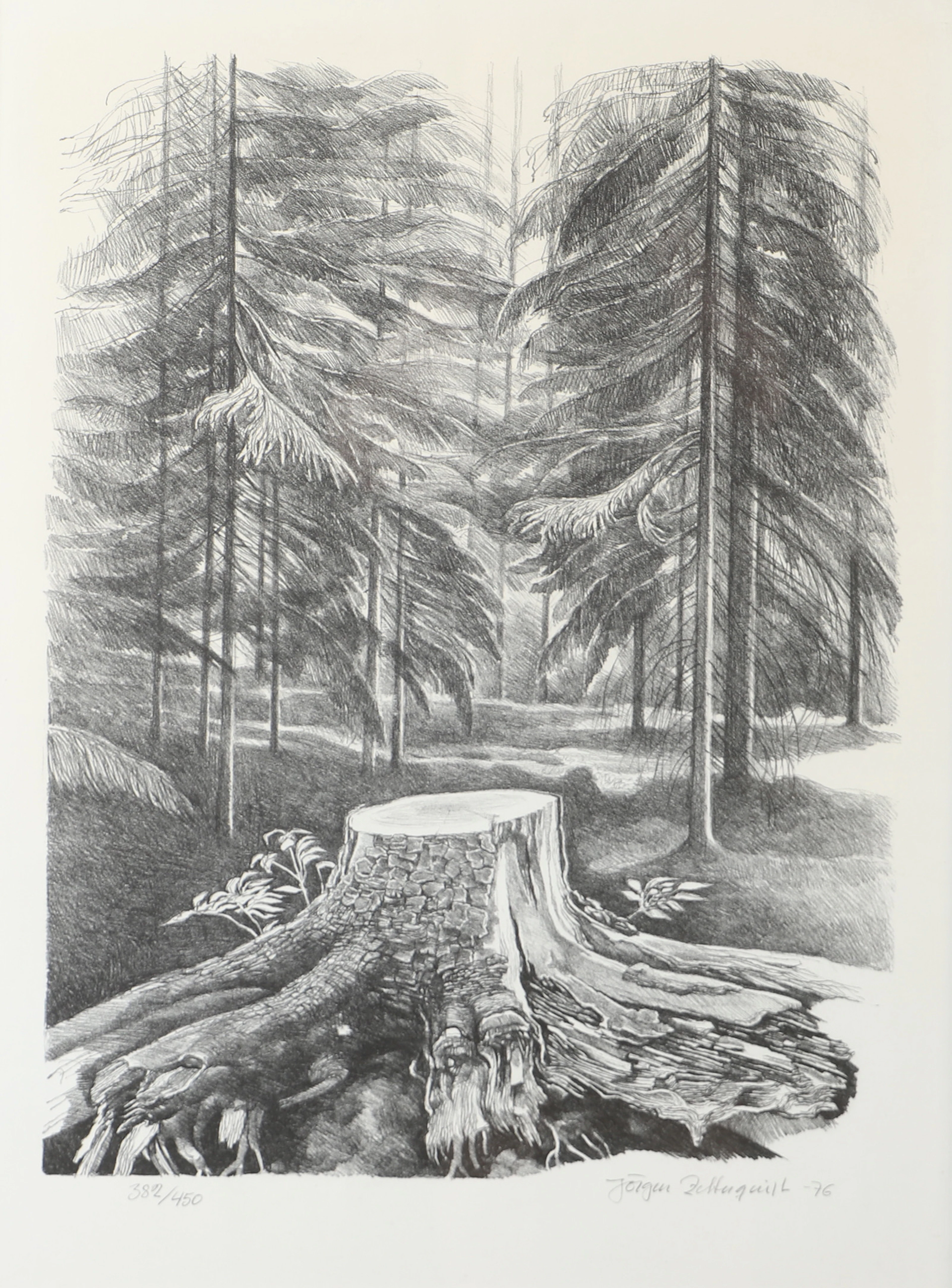 JÖRGEN ZETTERQUIST. Landskap med stubbe, litografi, signerad -76.