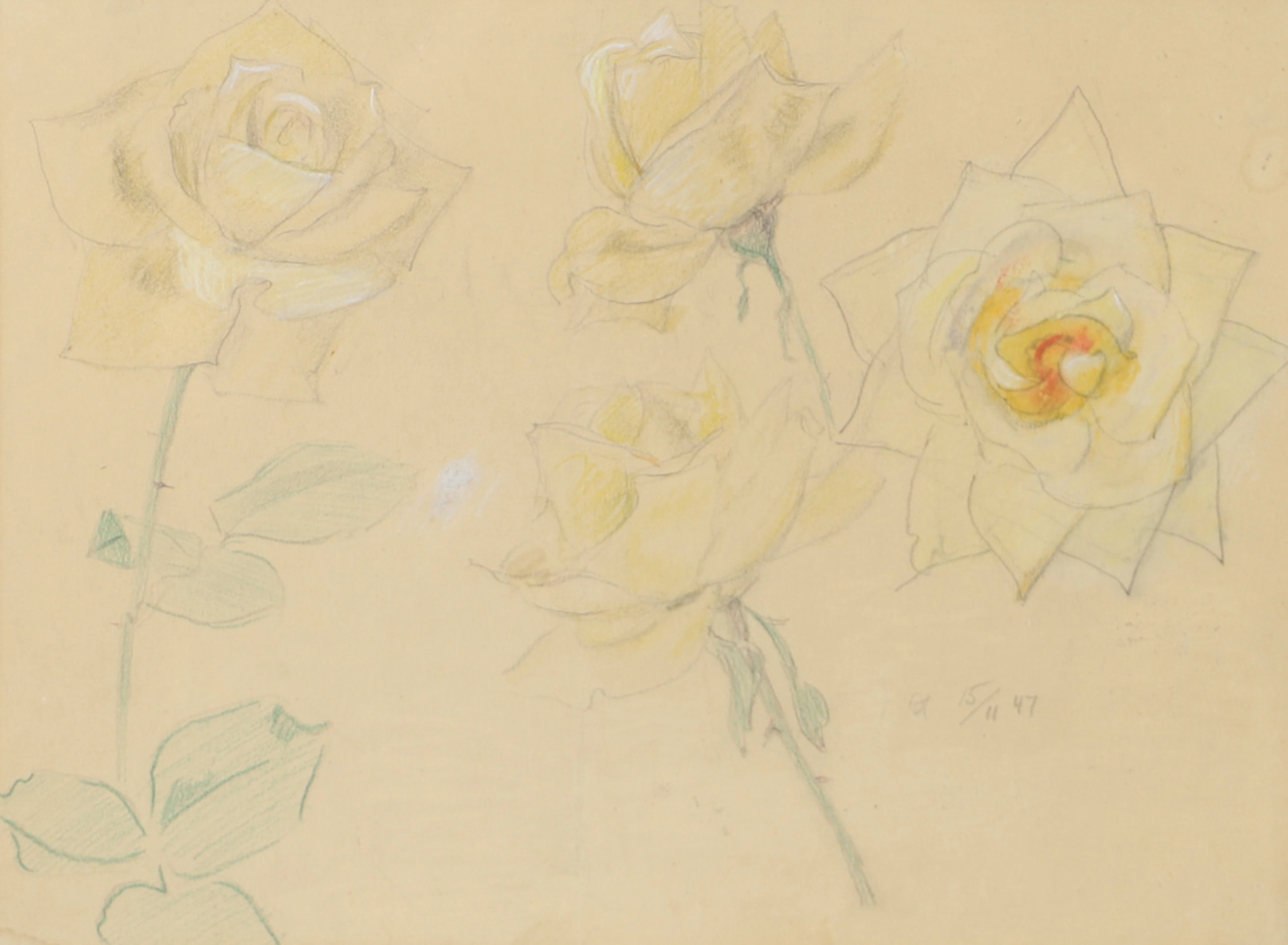 OLLE HJORTZBERG. Blommor, teckning, monogramsignerad 15/11 -47.
