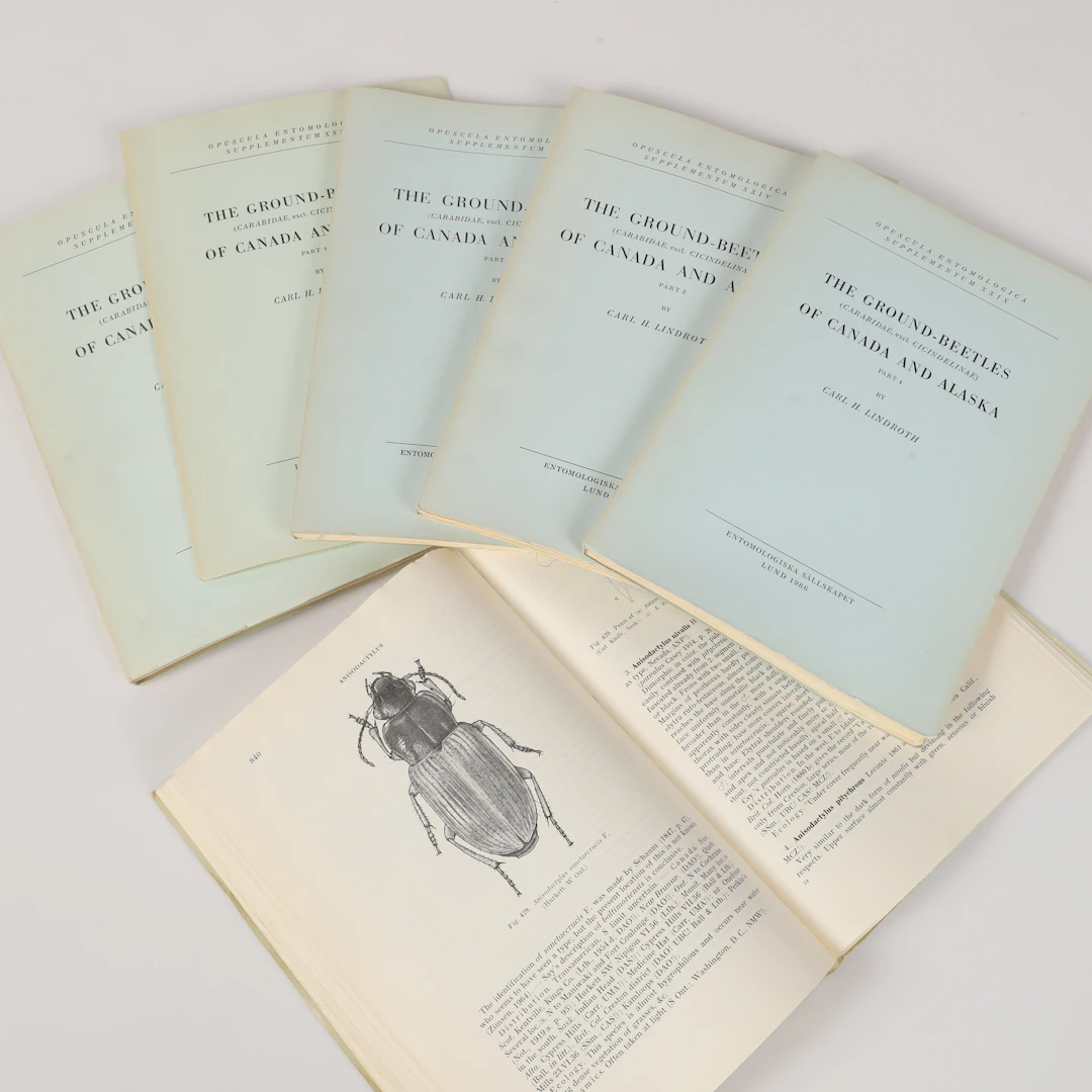 BÖCKER, 6 stycken, The Ground-beetles of Canada and Alaska, Carl H. Lindroth.