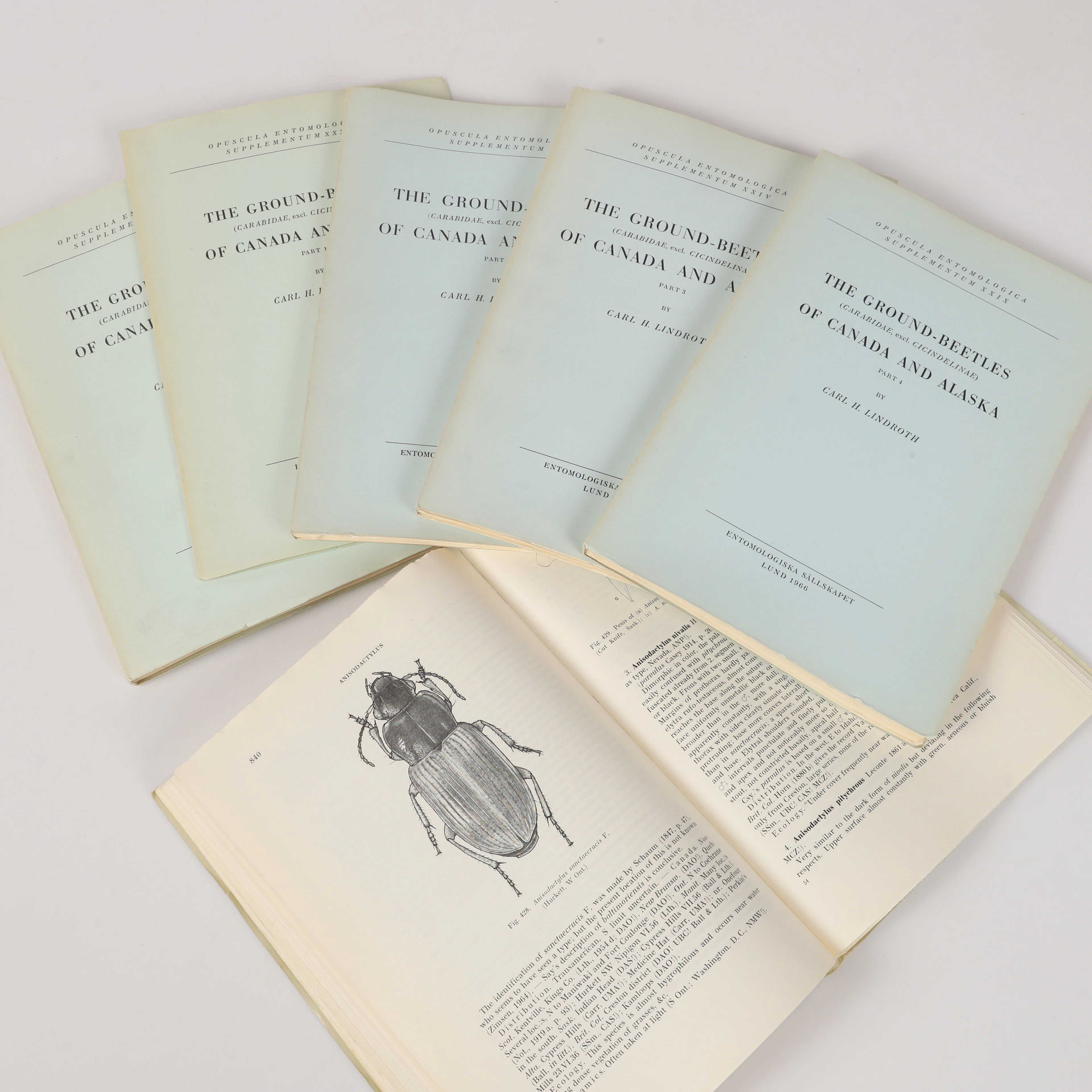 BÖCKER, 6 stycken, The Ground-beetles of Canada and Alaska, Carl H. Lindroth.