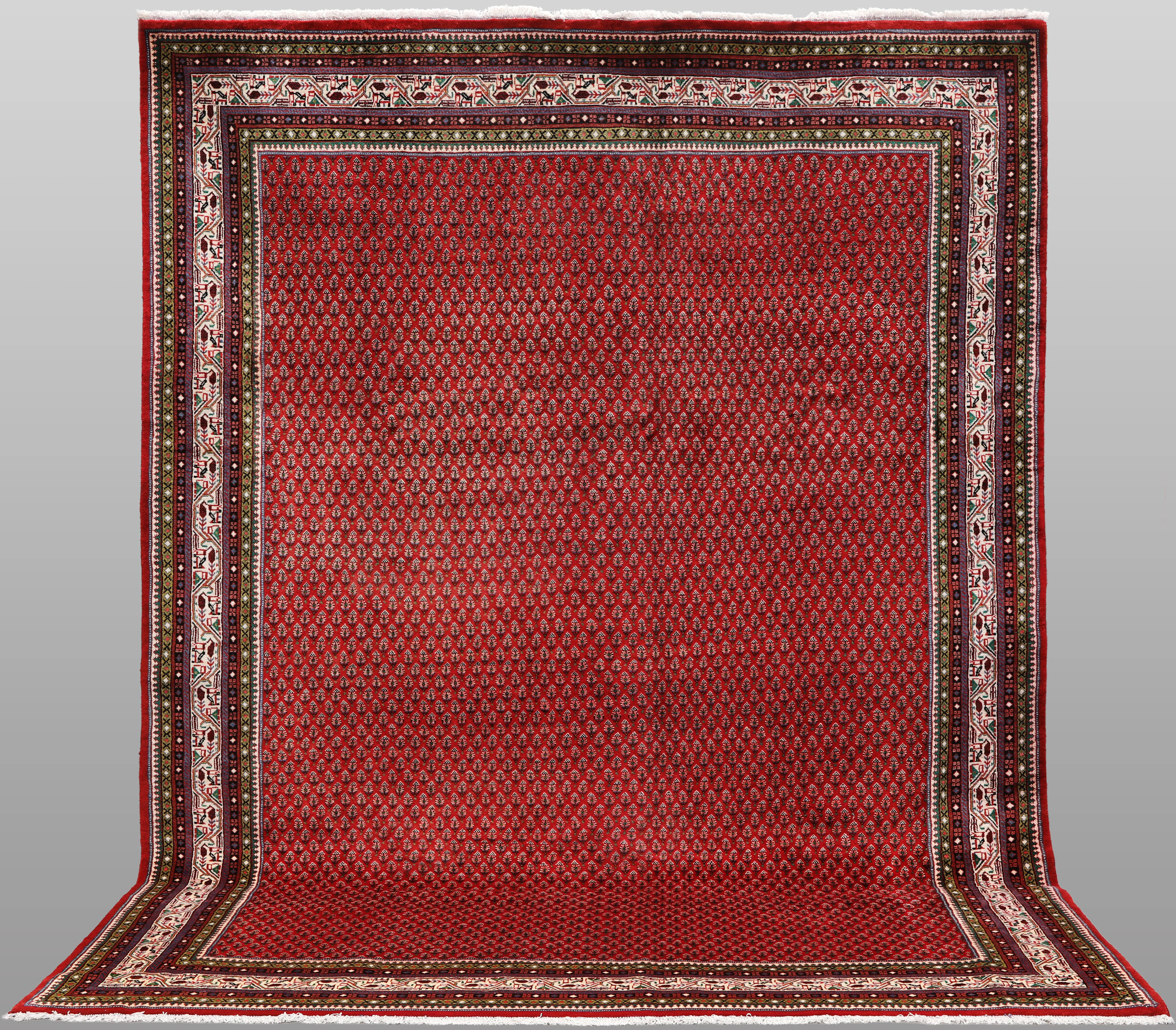 MATTA, "Saruk Mir", 353 x 245 cm.