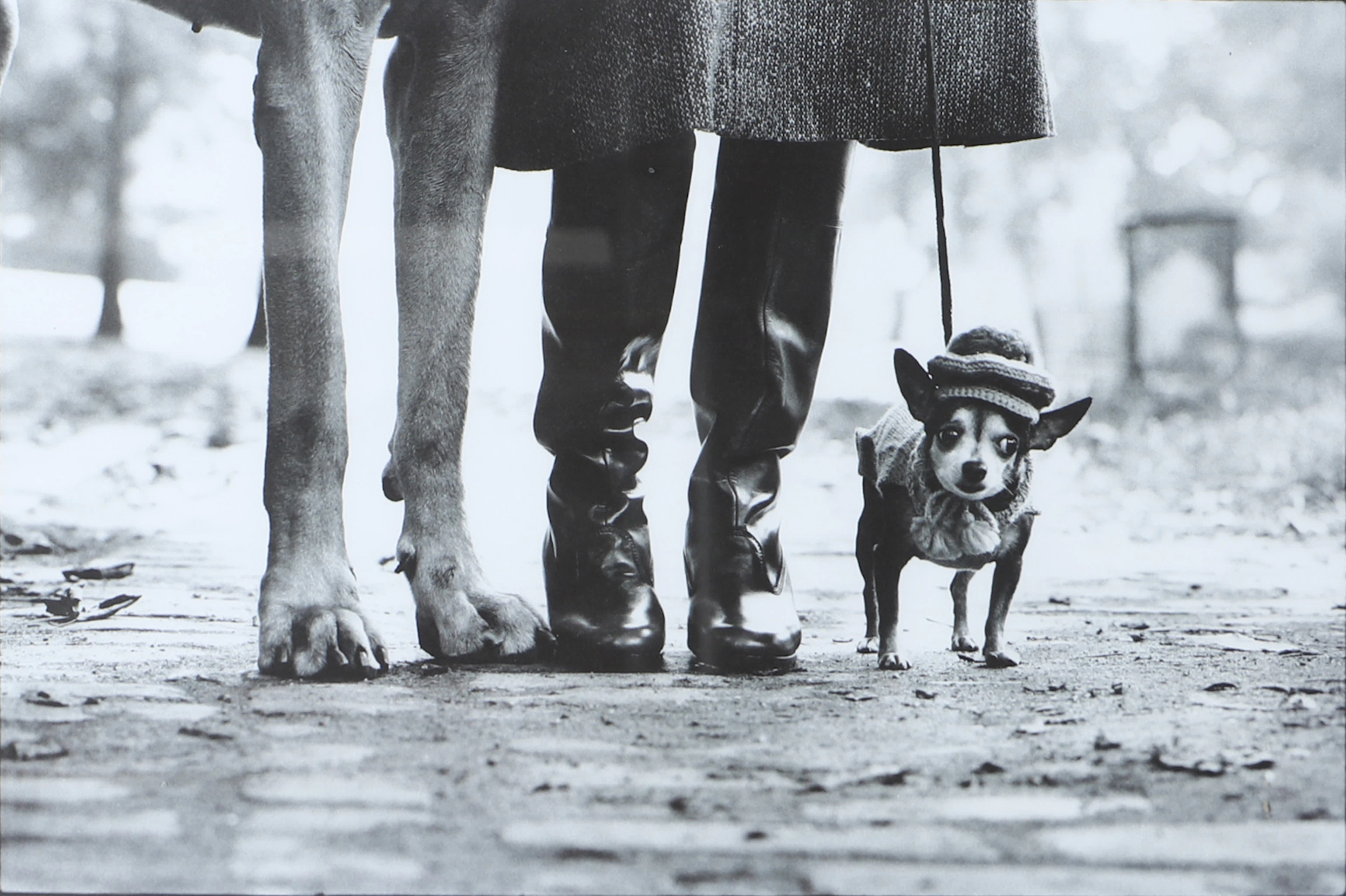 ELLIOT ERWITT. Utställningsaffisch, Fotografiska.