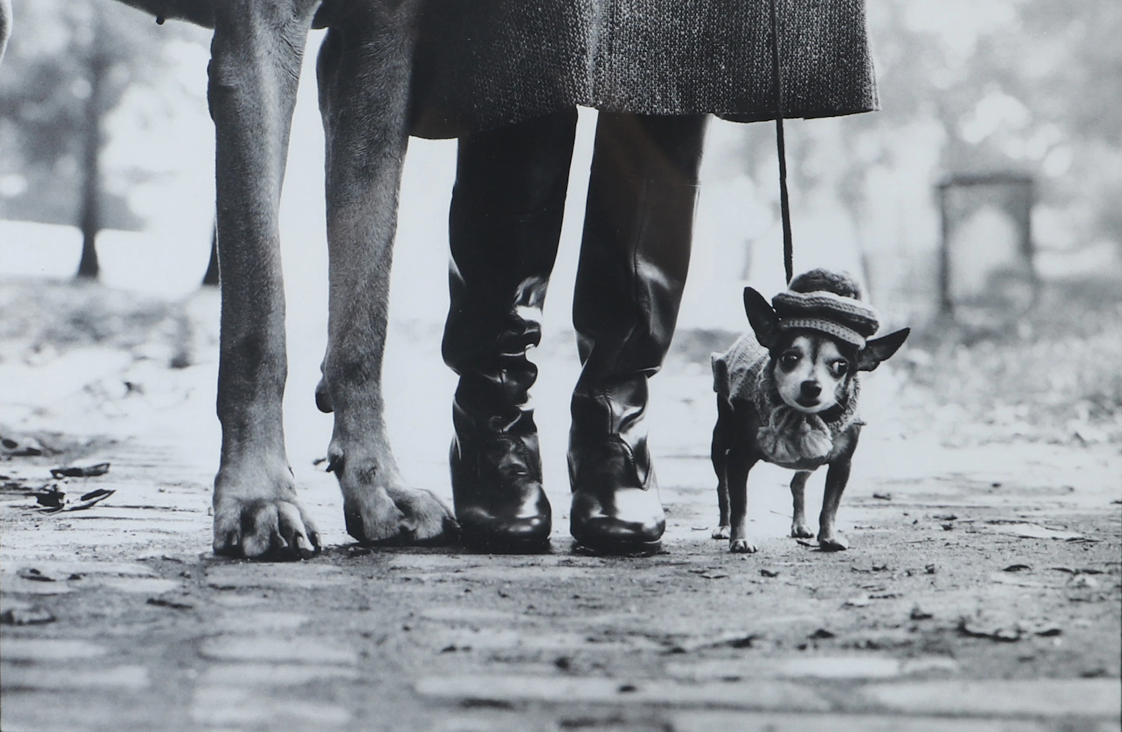 ELLIOTT ERWITT. Utställningsaffisch, Fotografiska.