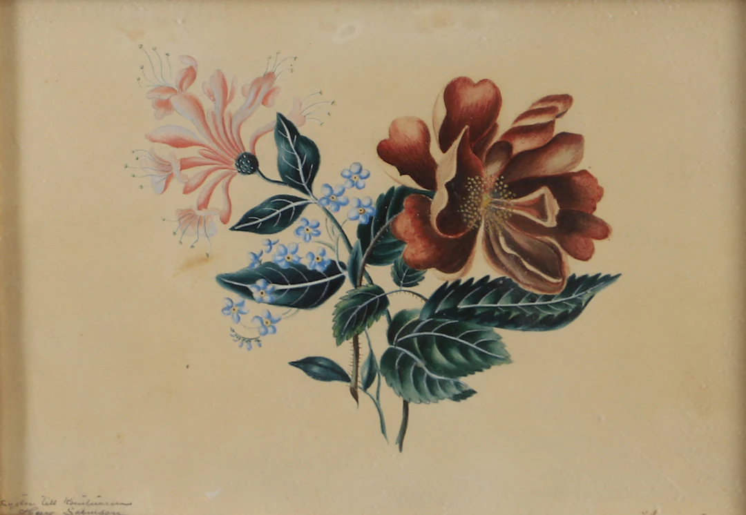 WILHELMINE HENUCI(FÖDD SALMSSON). blyerts/gouache, blomsterstilleben