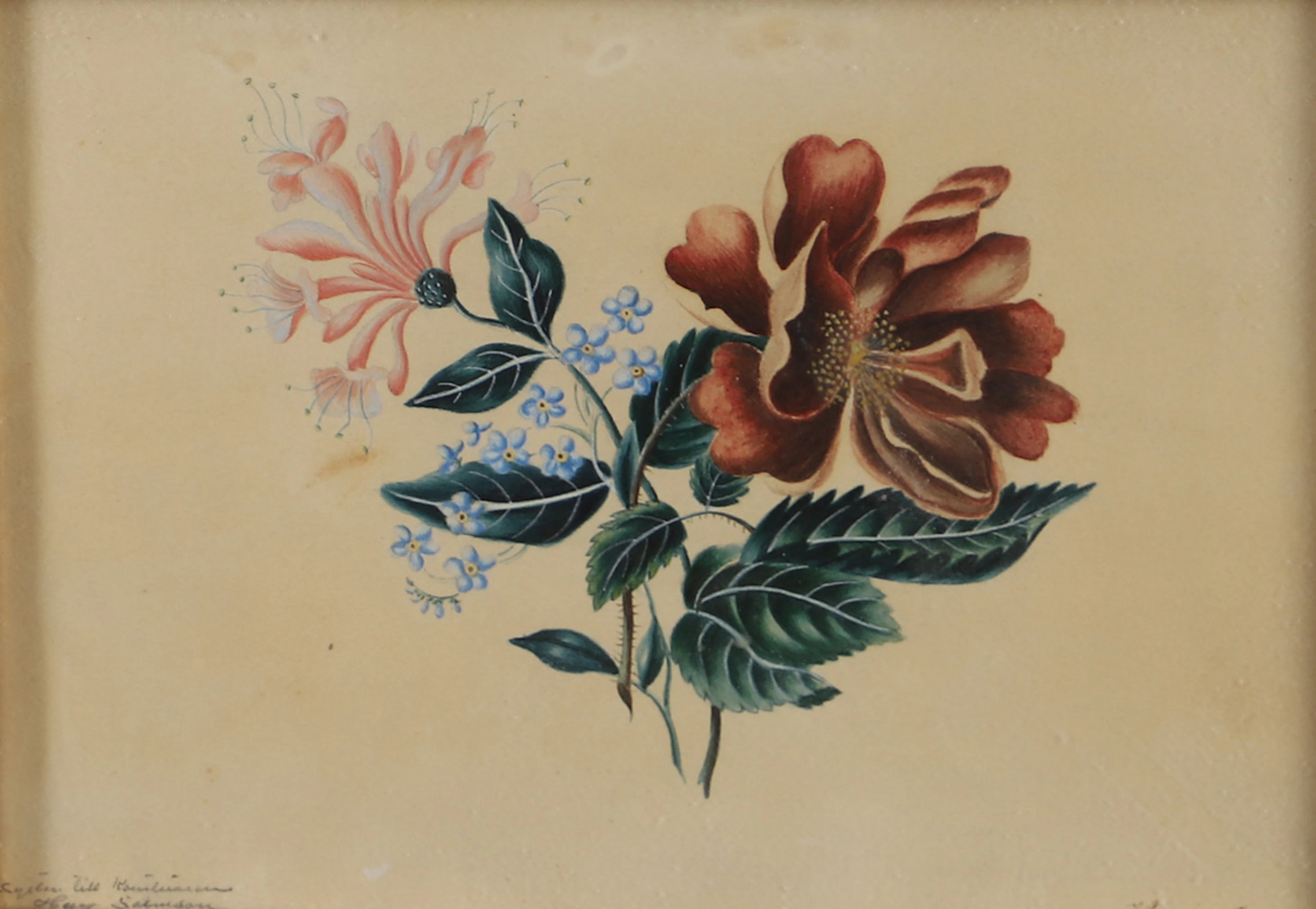WILHELMINE HENUCI(FÖDD SALMSSON). blyerts/gouache, blomsterstilleben