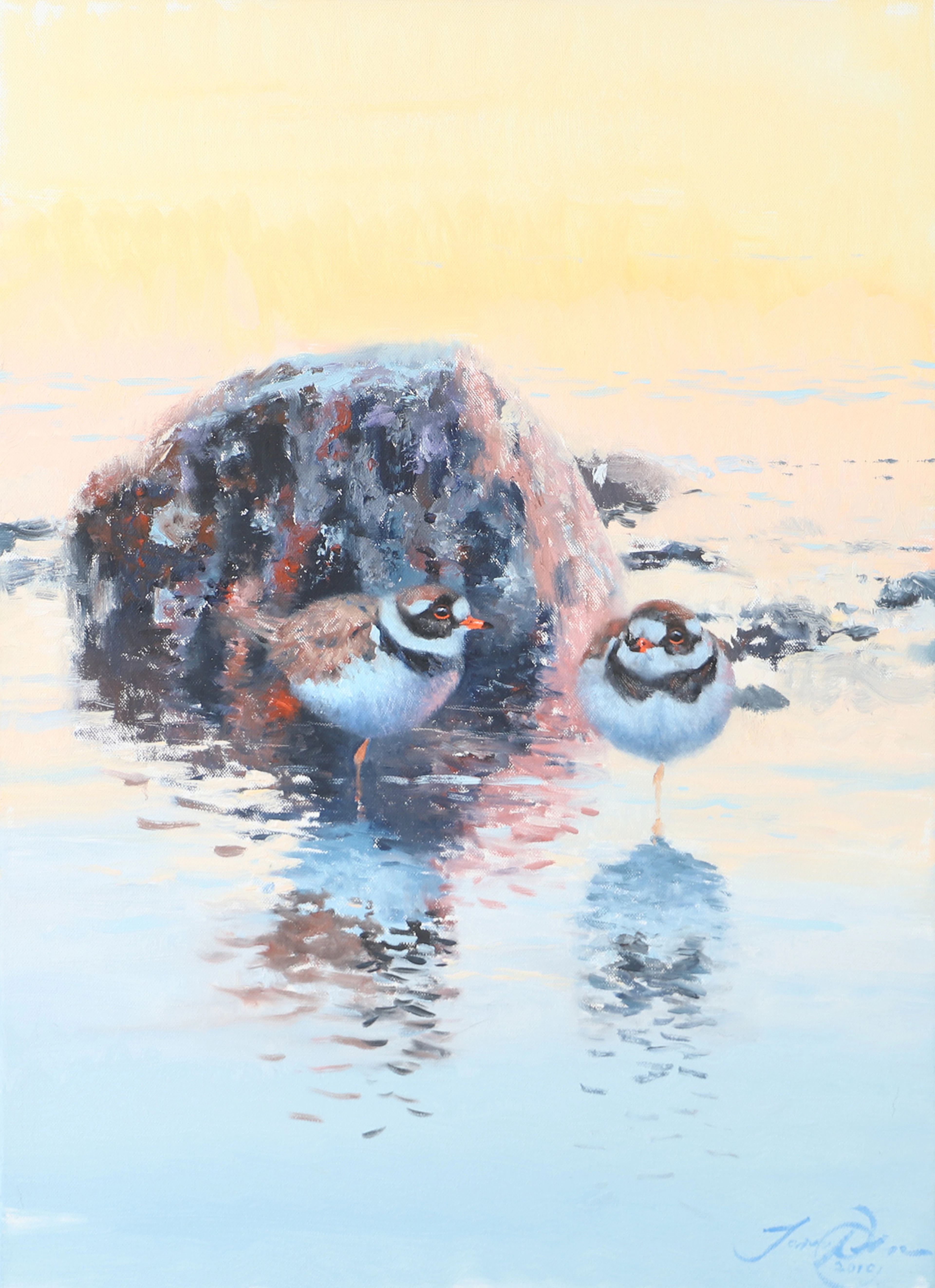 JONAS NILSSON. "Större strandpipare", olja på duk, signerad 2010.