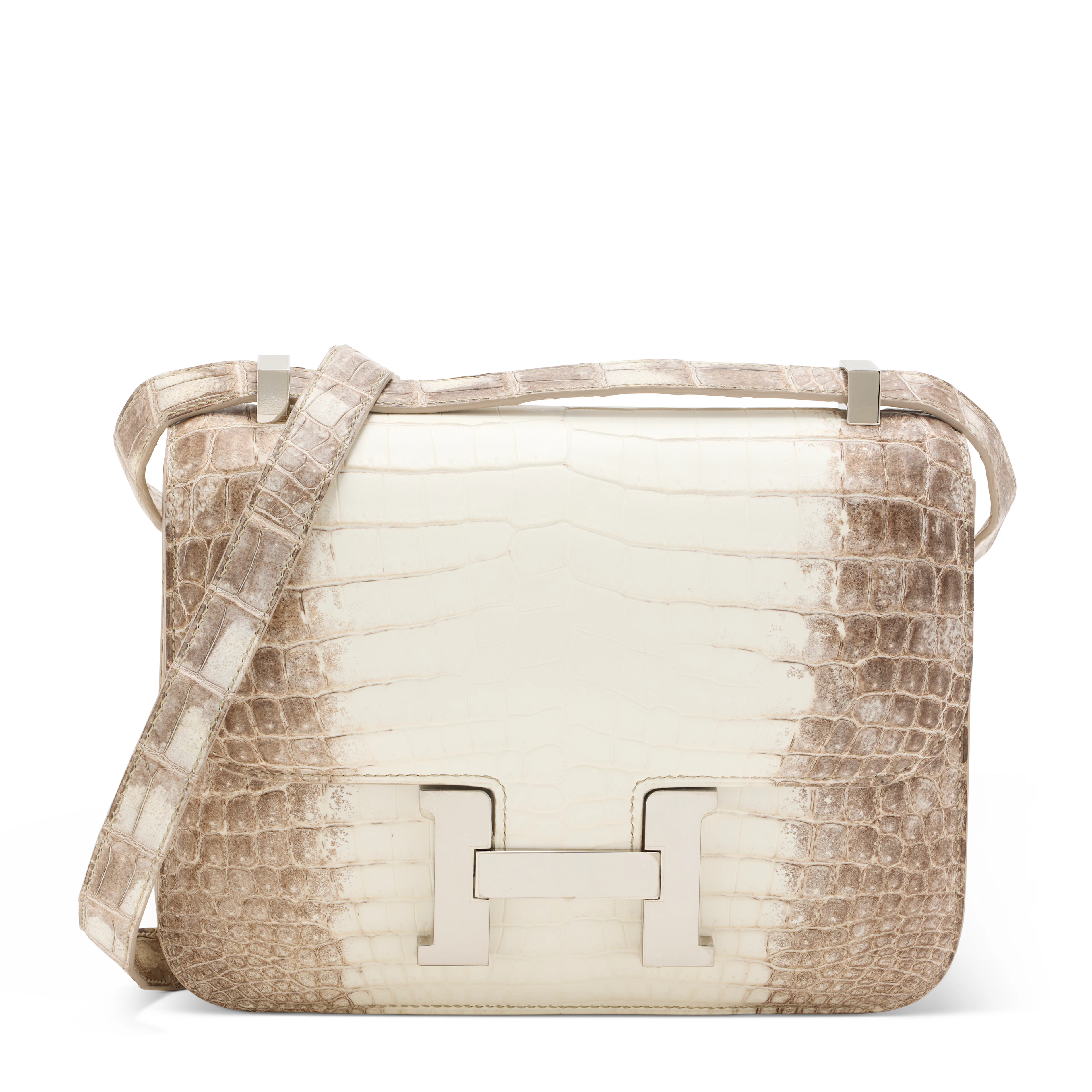 A RARE, MATTE WHITE HIMALAYA NILOTICUS CROCODILE CONSTANCE 1-24 WITH