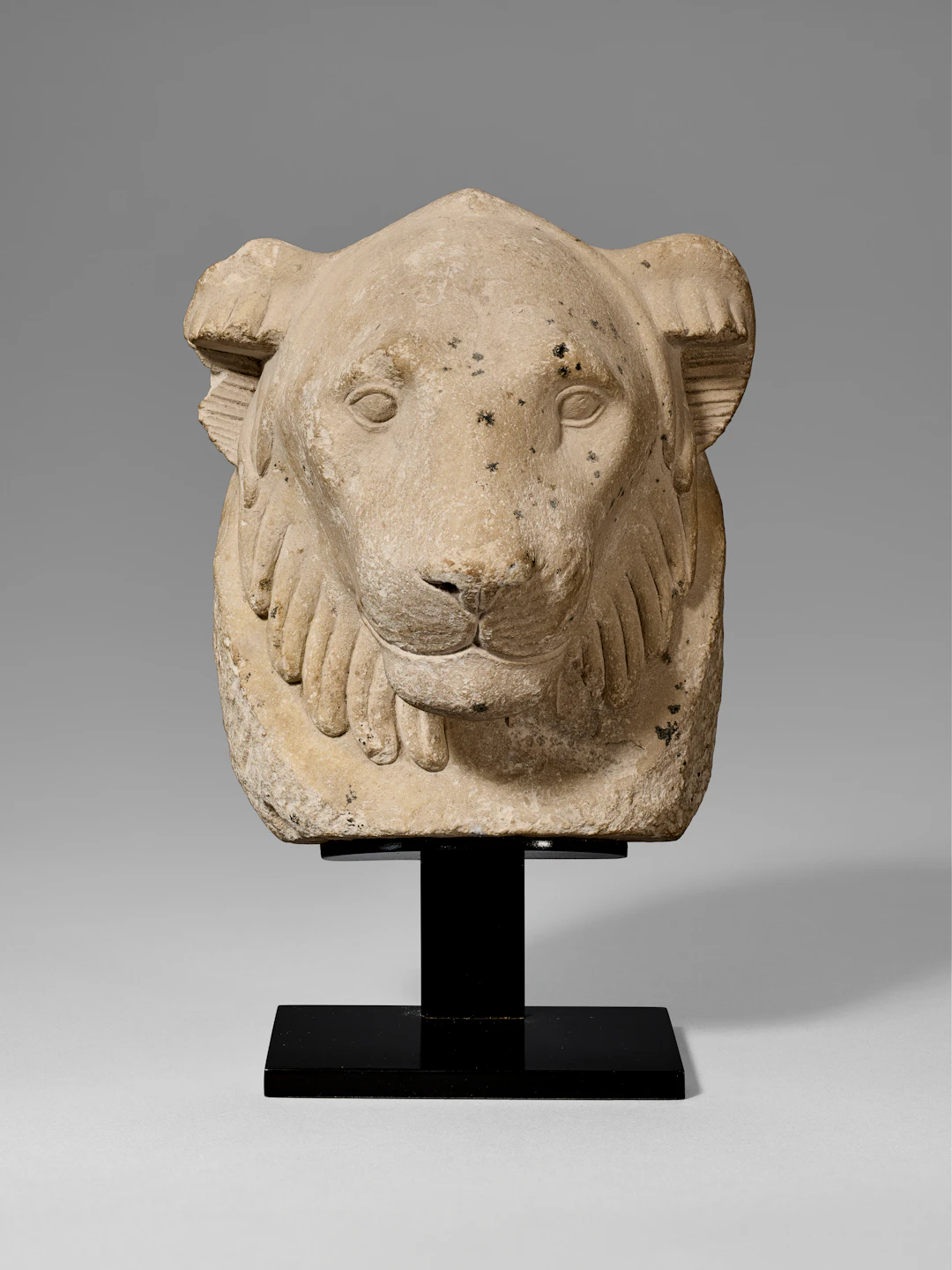 AN EGYPTIAN LIMESTONE LION HEAD SCULPTOR'S MODEL