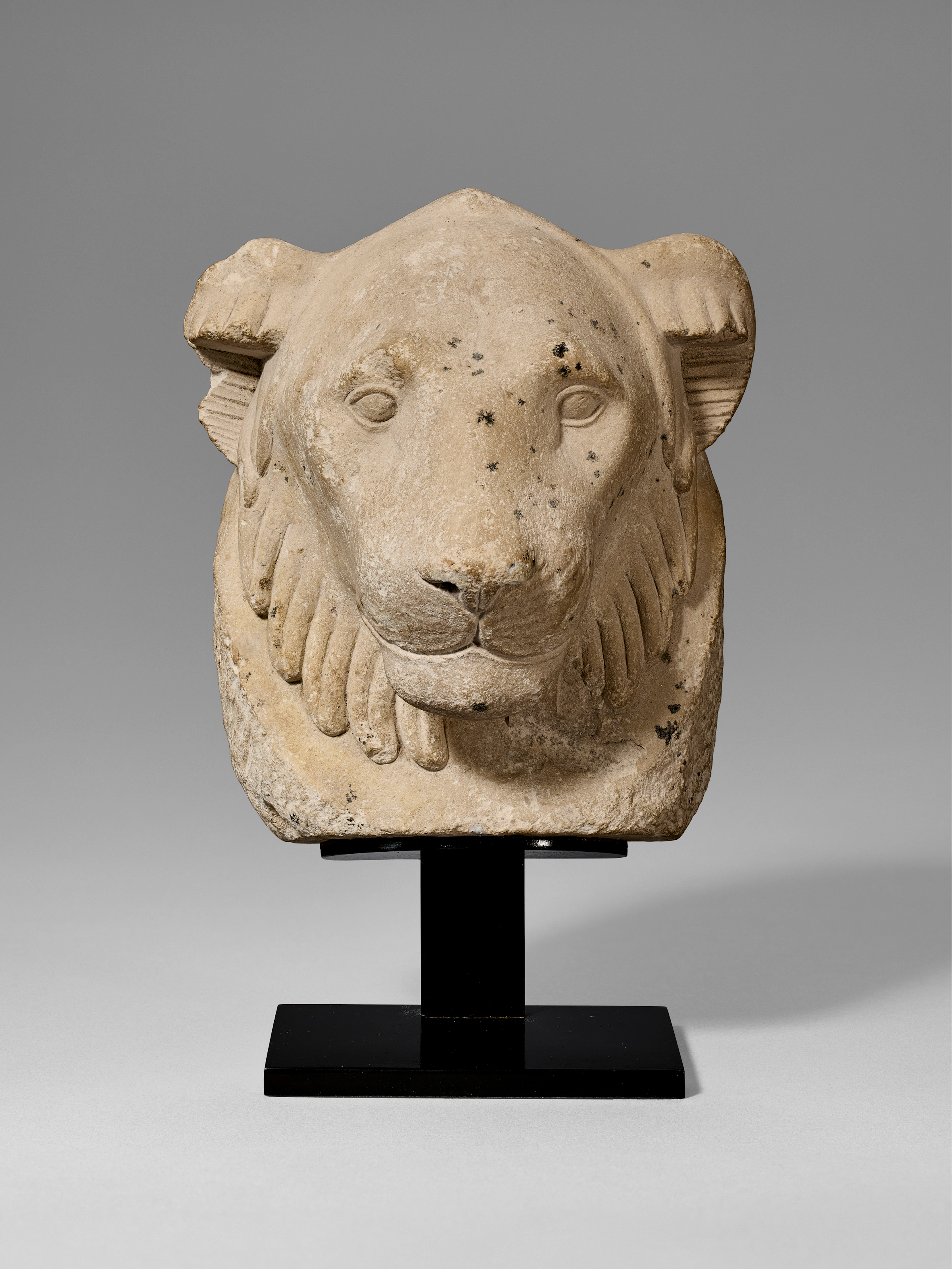 AN EGYPTIAN LIMESTONE LION HEAD SCULPTOR'S MODEL