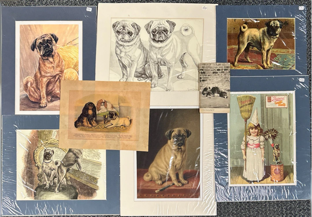 ANTIQUE PUG PRINTS.