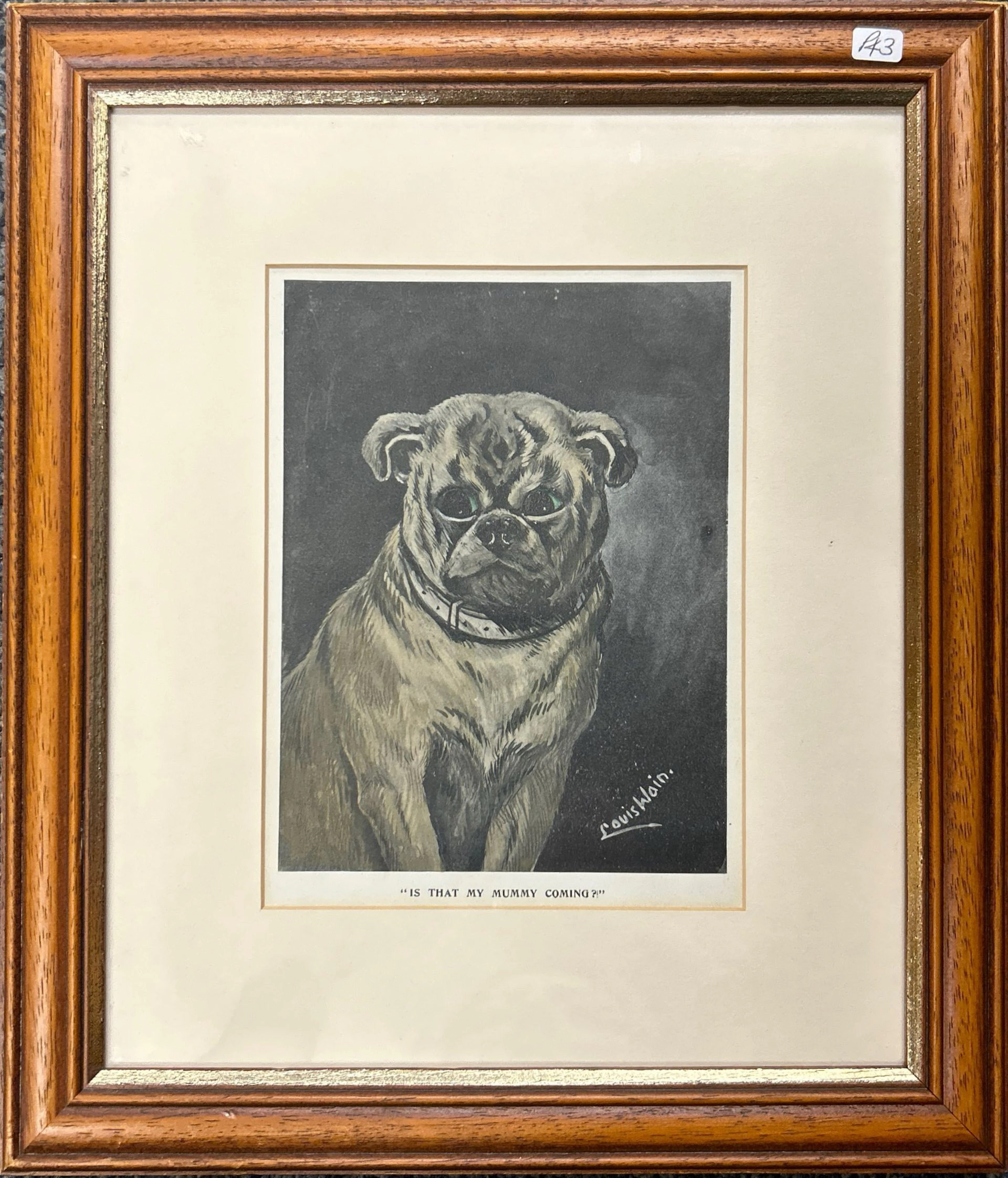 PUG ENGRAVING BY LOUIS WAIN.