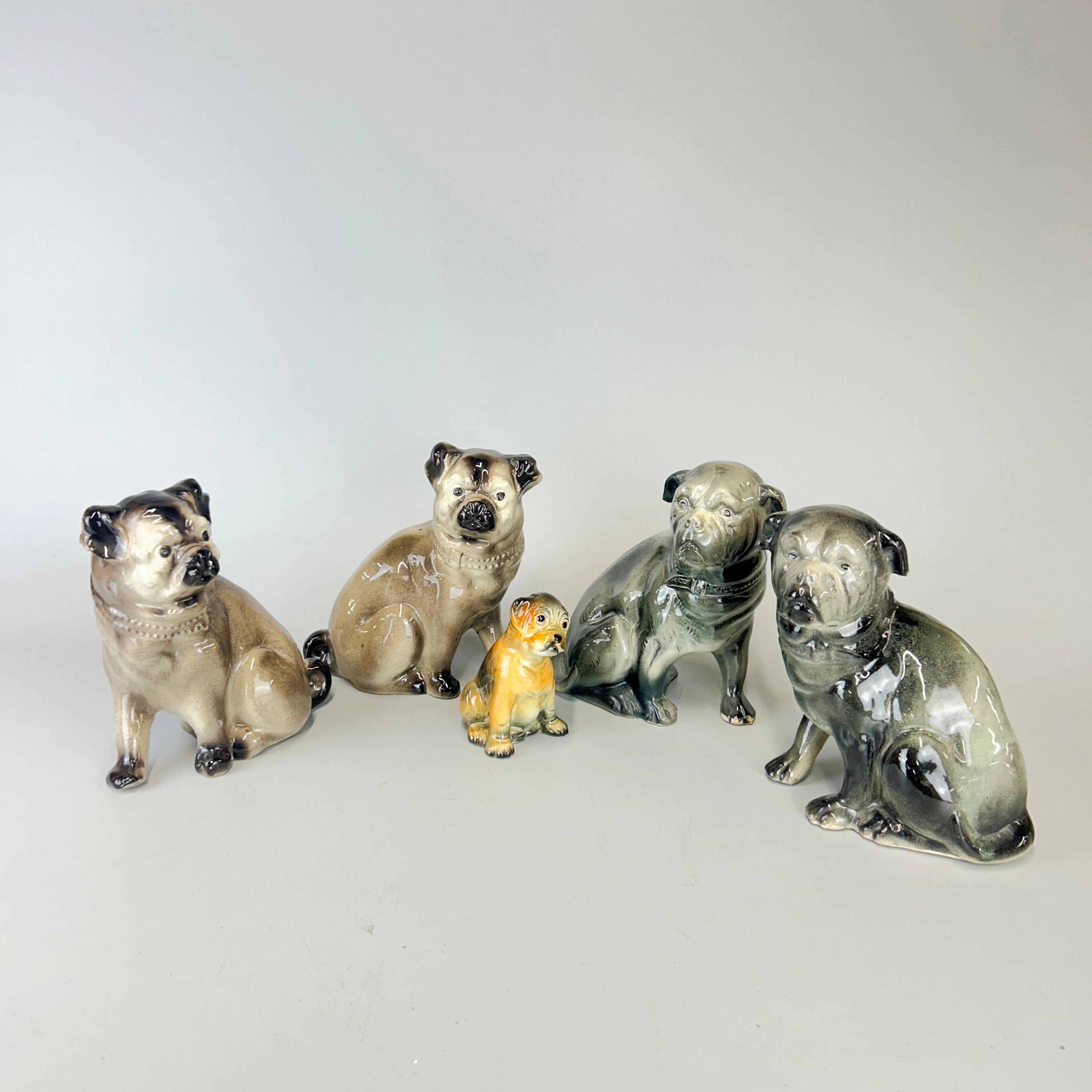 PORCELAIN DOG GROUP.