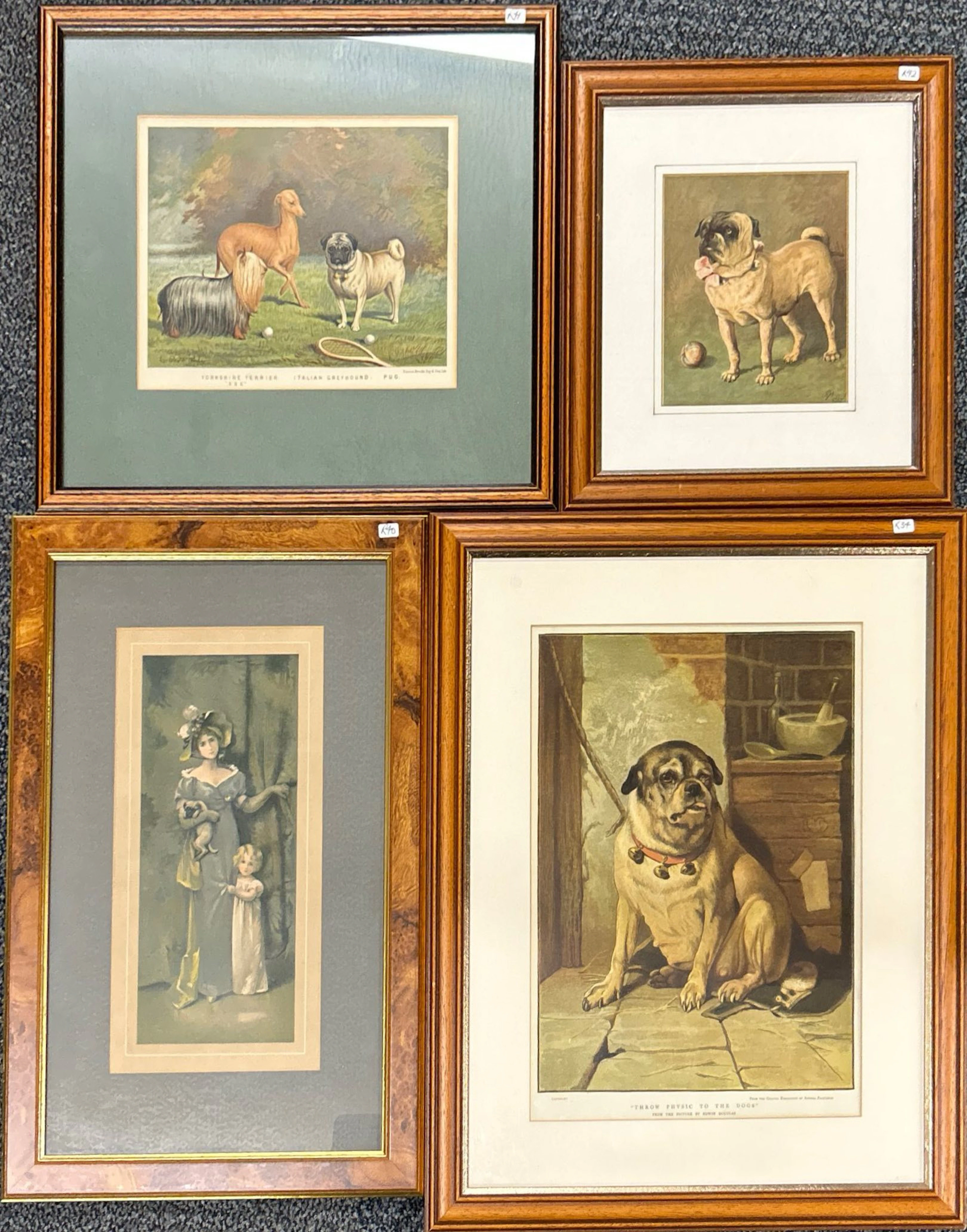ANTIQUE PUG PRINTS.