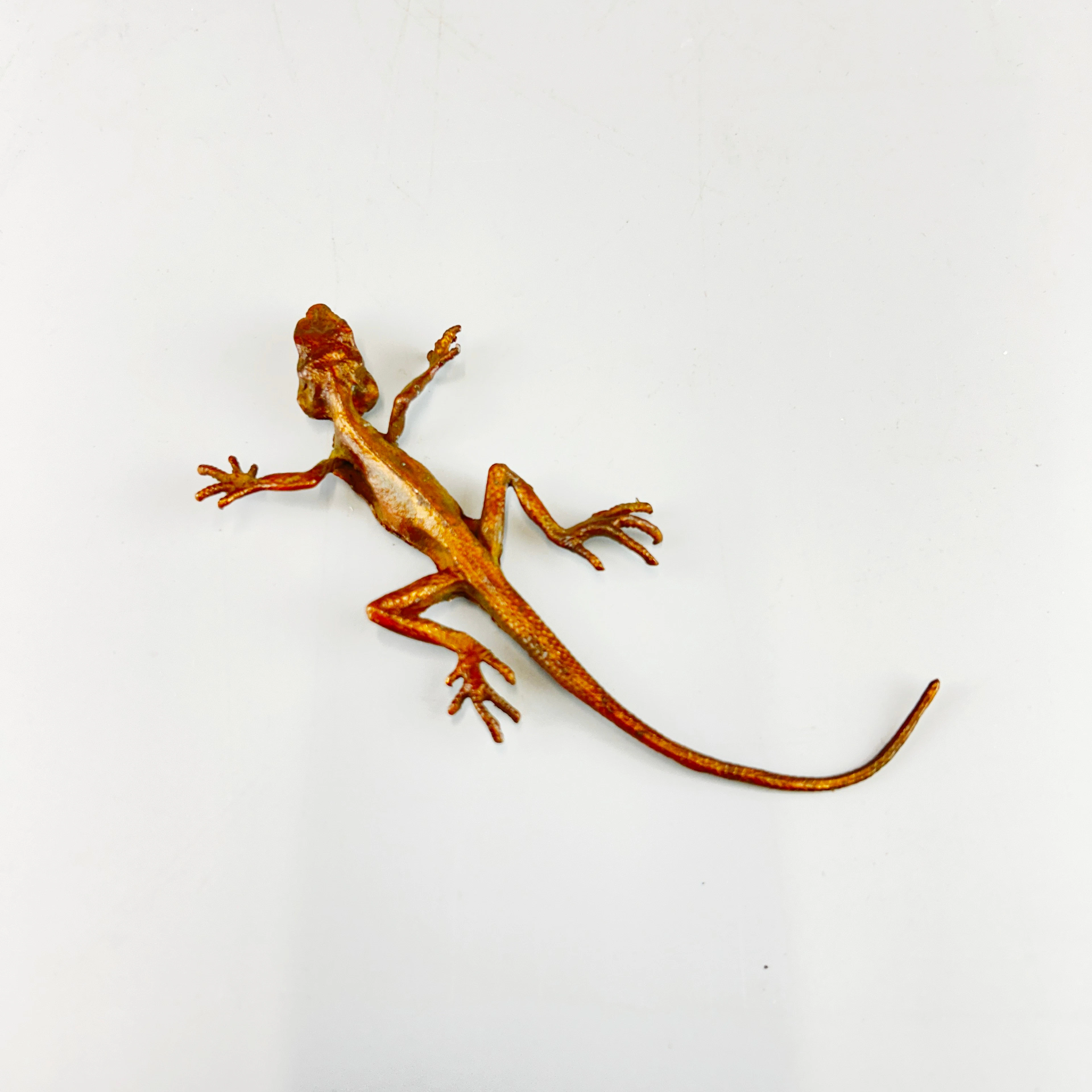 BRONZE LIZARD.