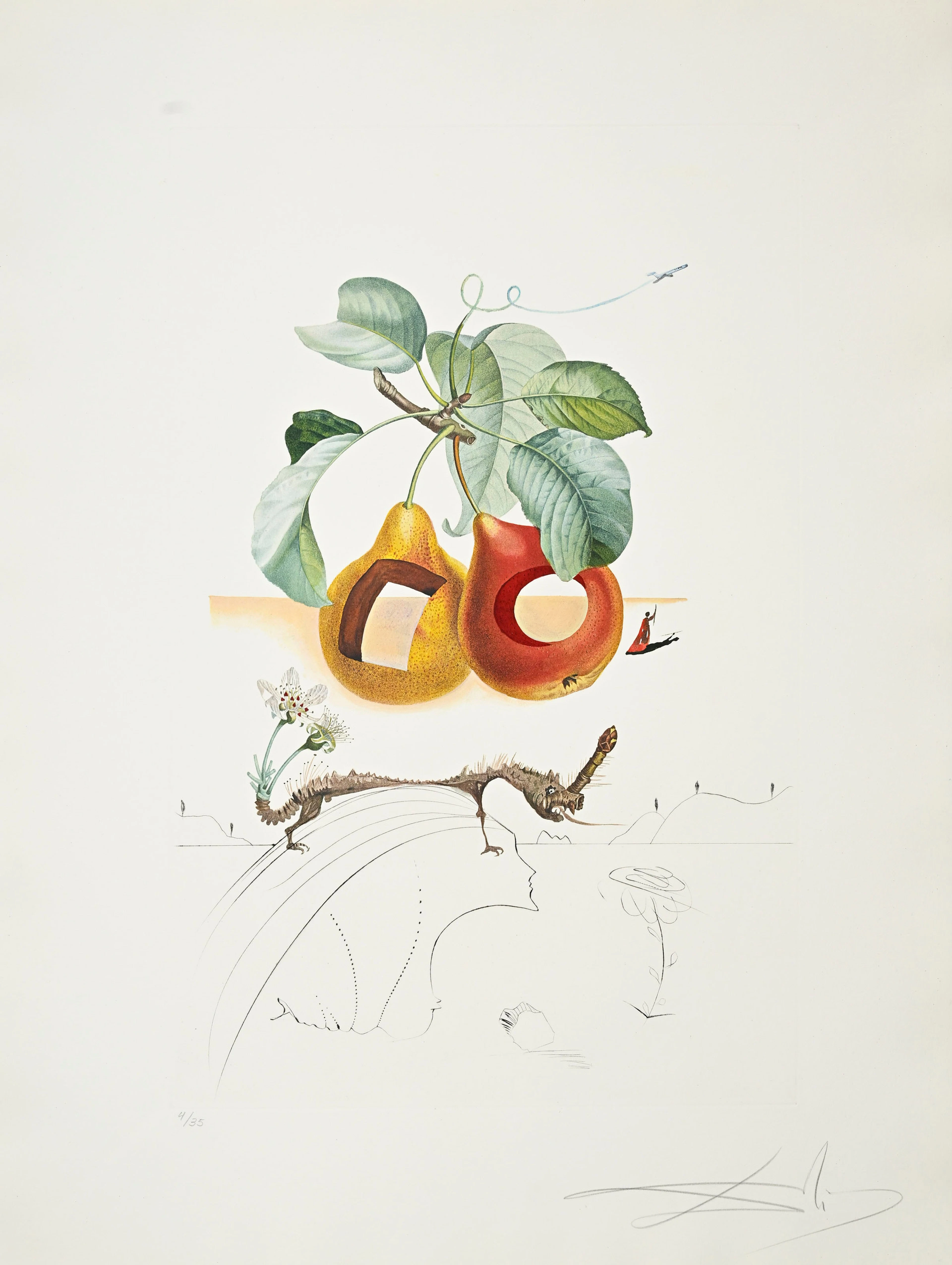 Salvador Dali (1904-1989), "FlorDali - Les Fruits", 1969, 10 pointes-sèches