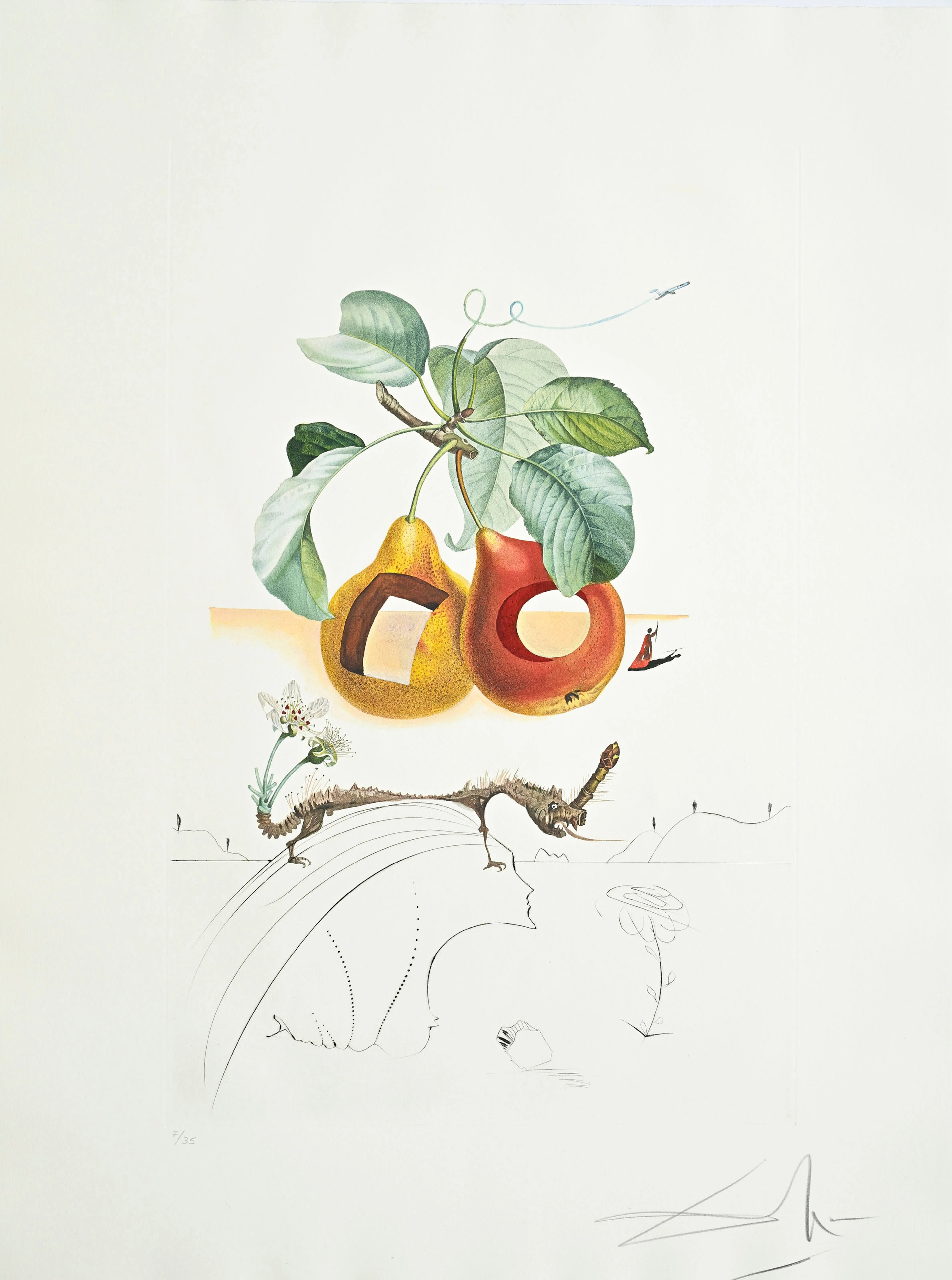 Salvador Dali (1904-1989), "FlorDali - Les Fruits", 1969, 10 pointes-sèches