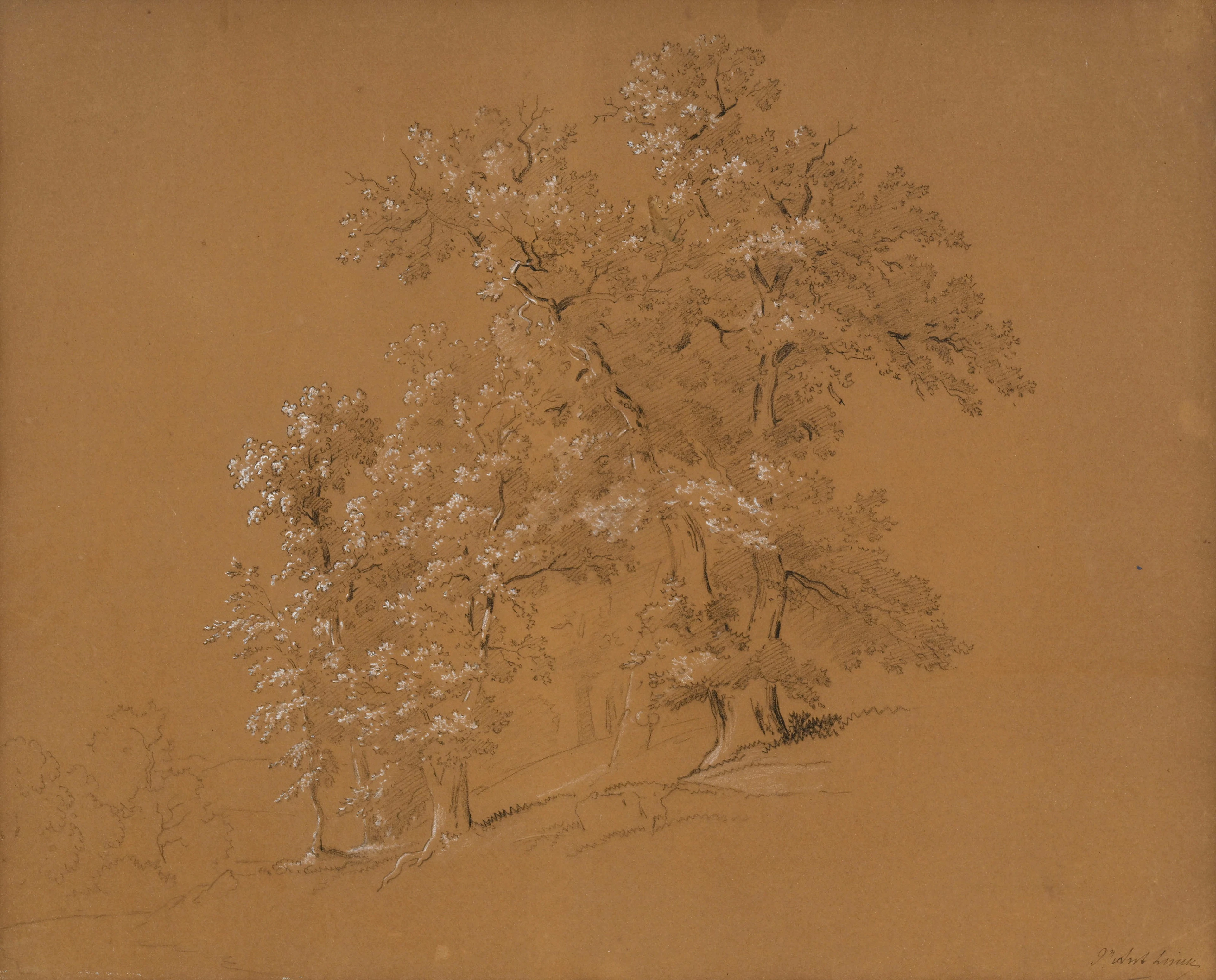 Jean-Antoine Linck (1766-1843), Paysage avec arbres, pierre noire