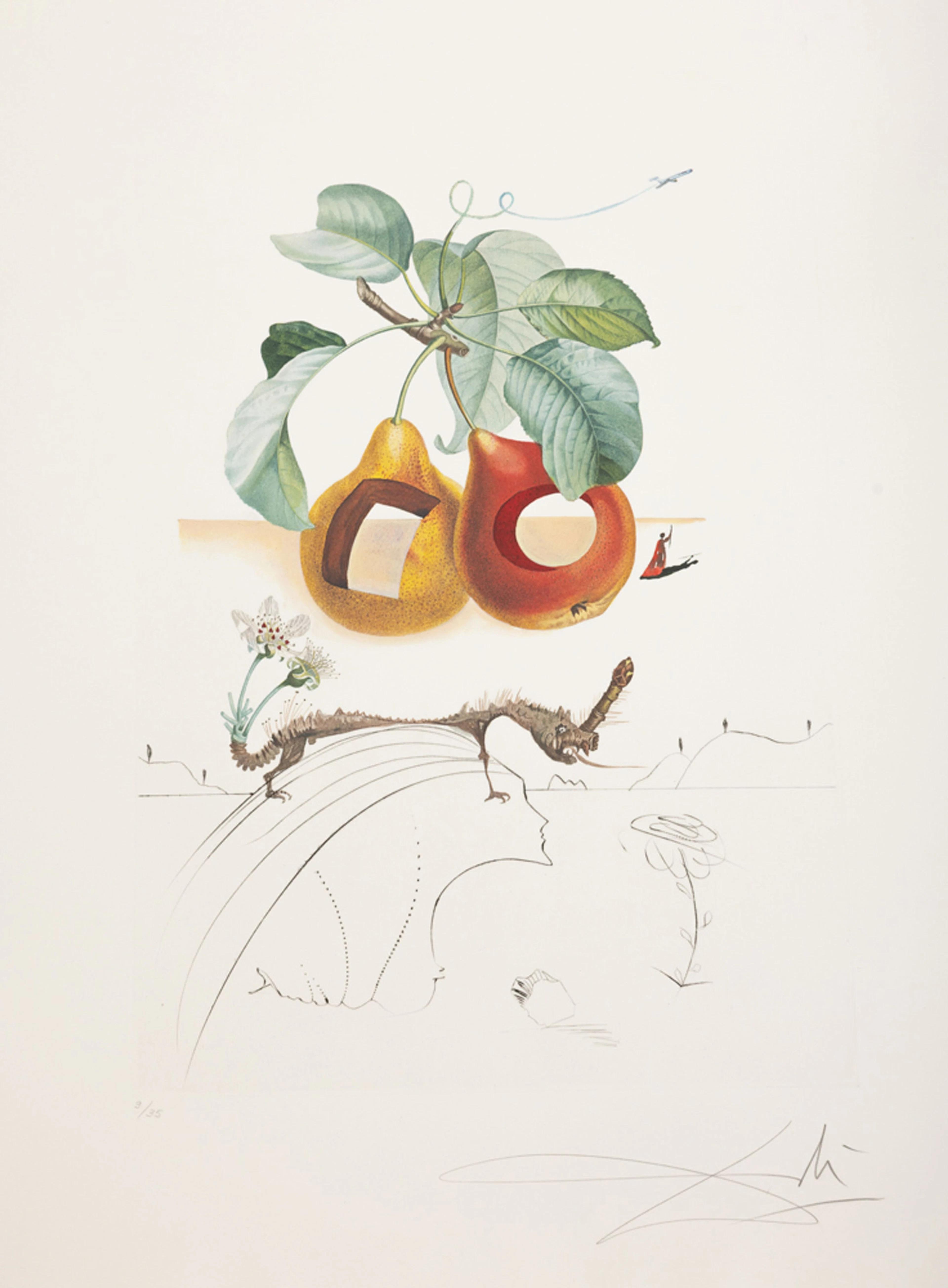 Salvador Dali (1904-1989), "FlorDali - Les Fruits", 1969, 10 pointes-sèches