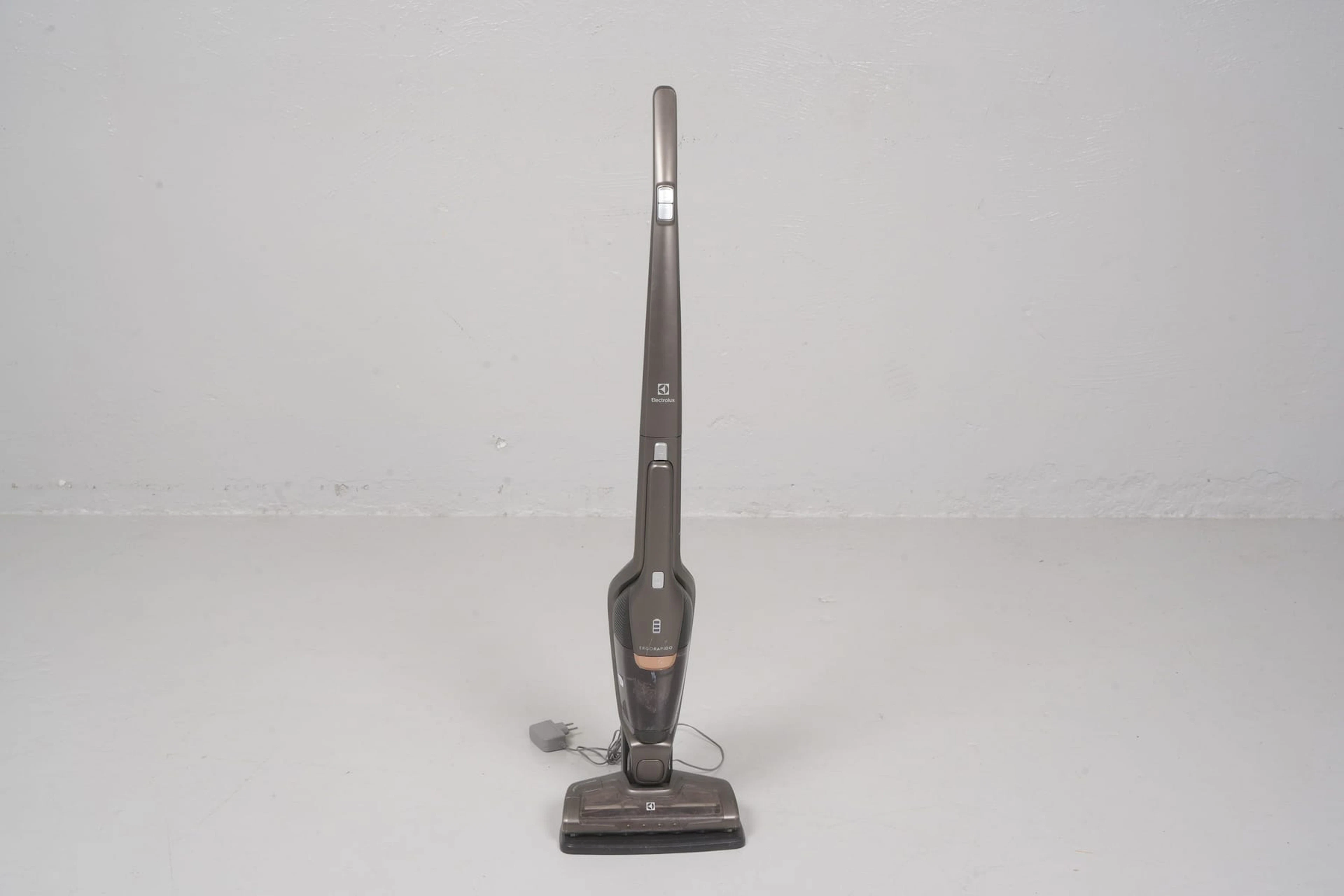 DAMMSUGARE, Ergorapido, Electrolux