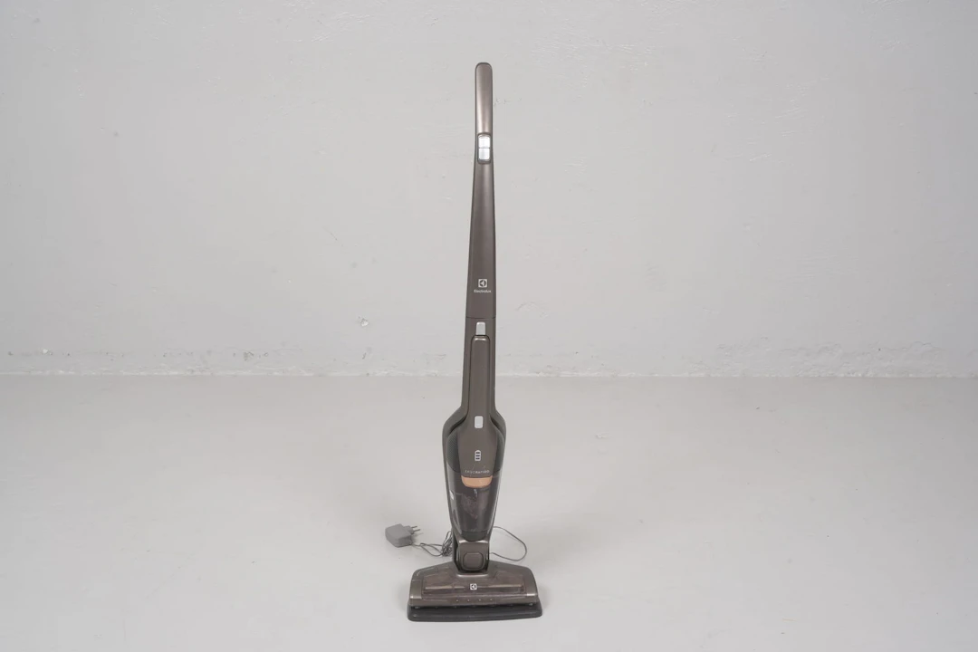 DAMMSUGARE, Ergorapido, Electrolux