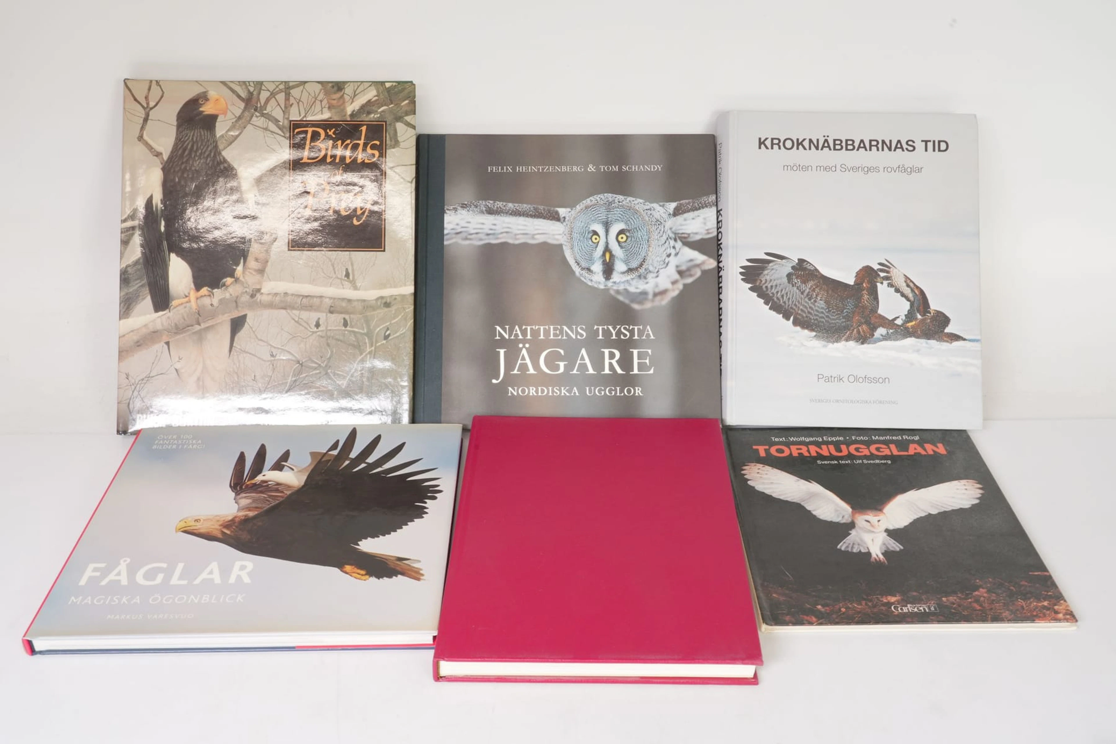 BÖCKER, 6 st, rovfåglar, bl.a. Birds of Prey, Nattens tysta jägare