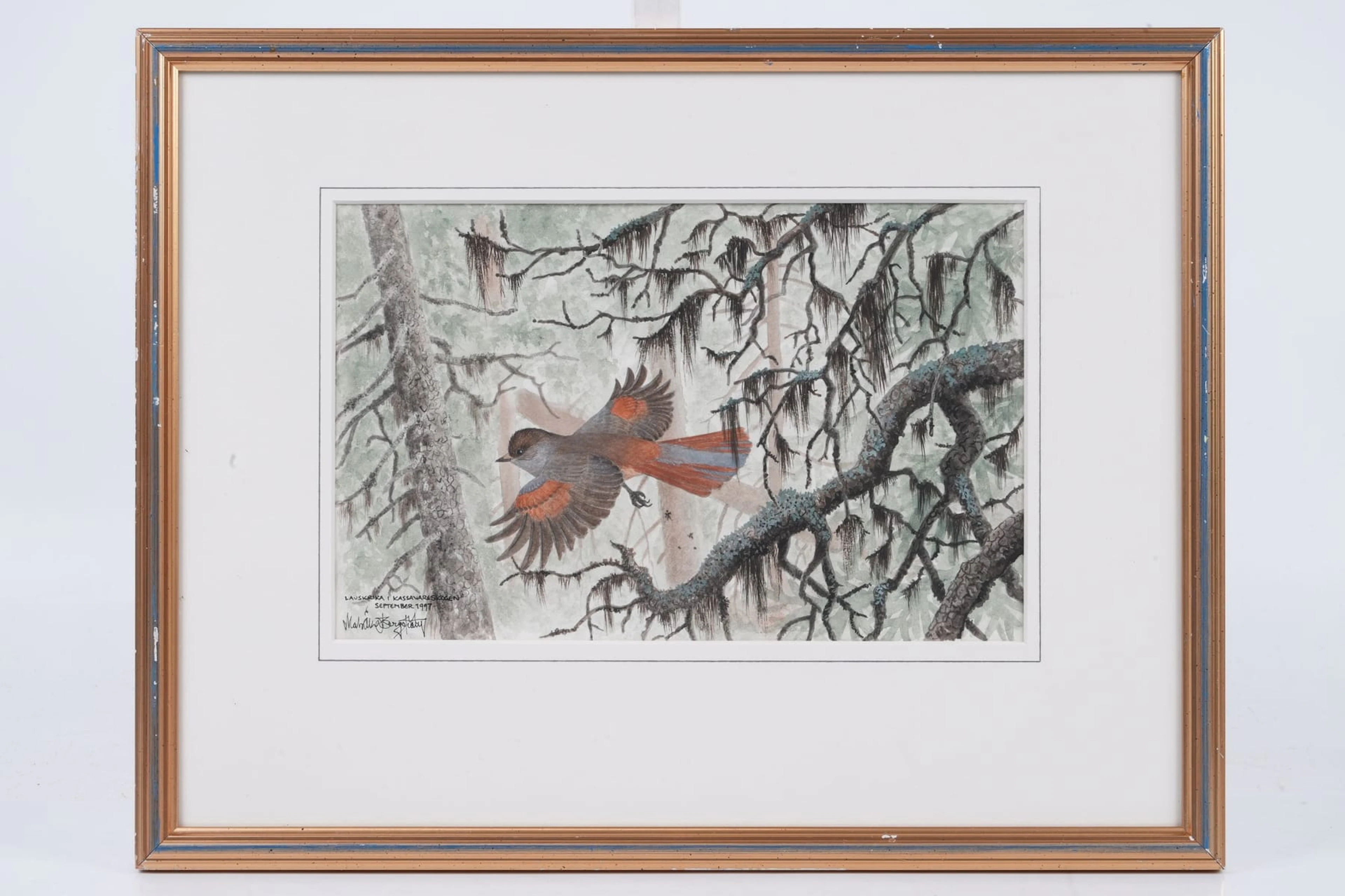 MATS-ÅKE BERGSTRÖM (1948), akvarell, "Lavskrika i Kassavareskogen"