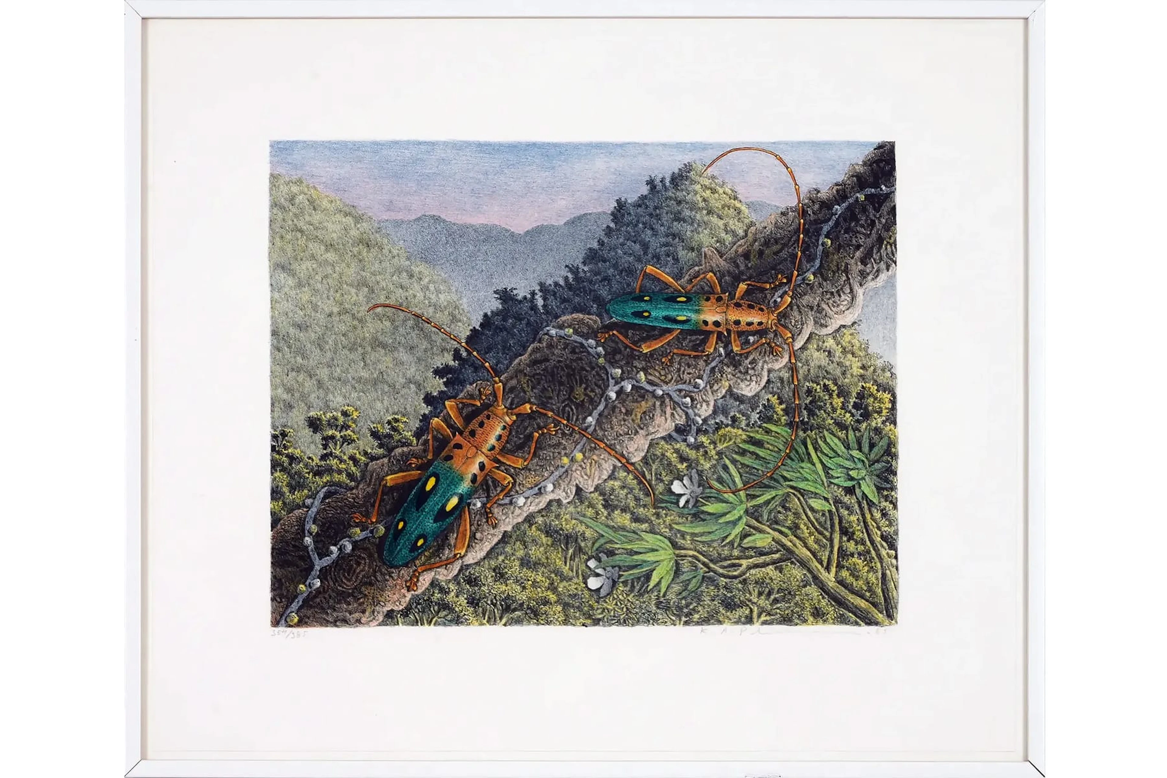 KARL AXEL PEHRSON (1921-2005), färglitografi, "Calogeralia elegance"