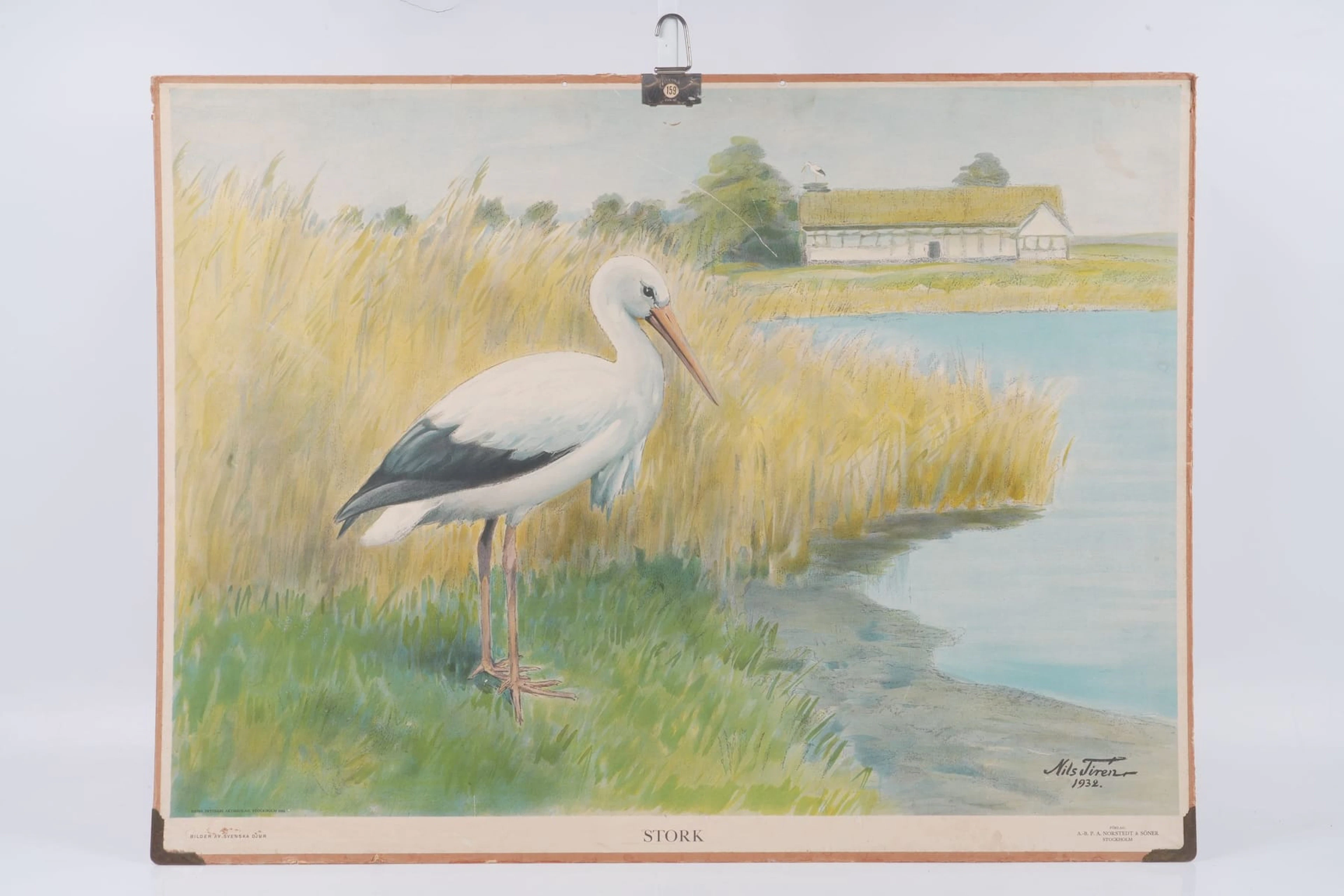 SKOLPLANSCH, "Stork", P.A. Norstedts & söners förlag, Stockholm