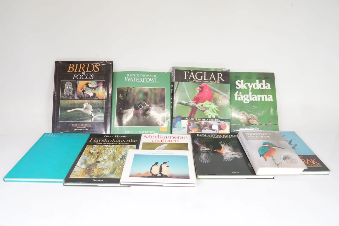 BÖCKER, 11 st, svenska och engelska, bl.a. Norstedts fågelbok, Birds in Focus
