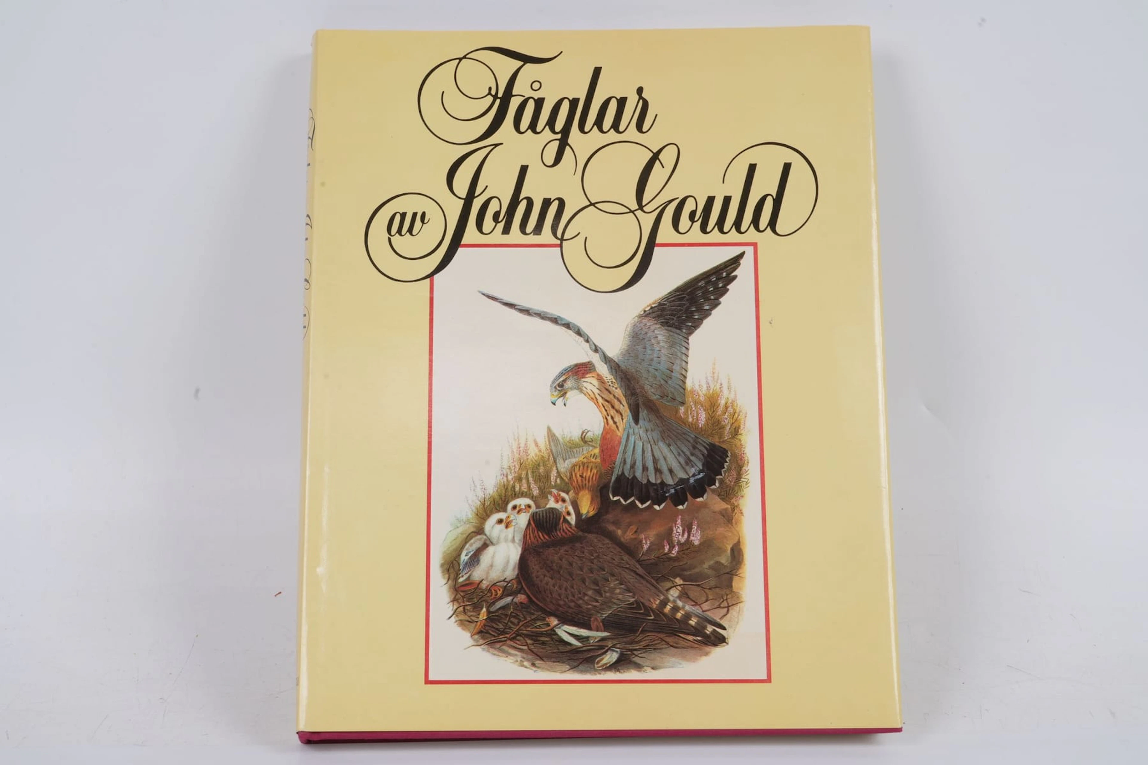 JOHN GOULD, bok, Fåglar