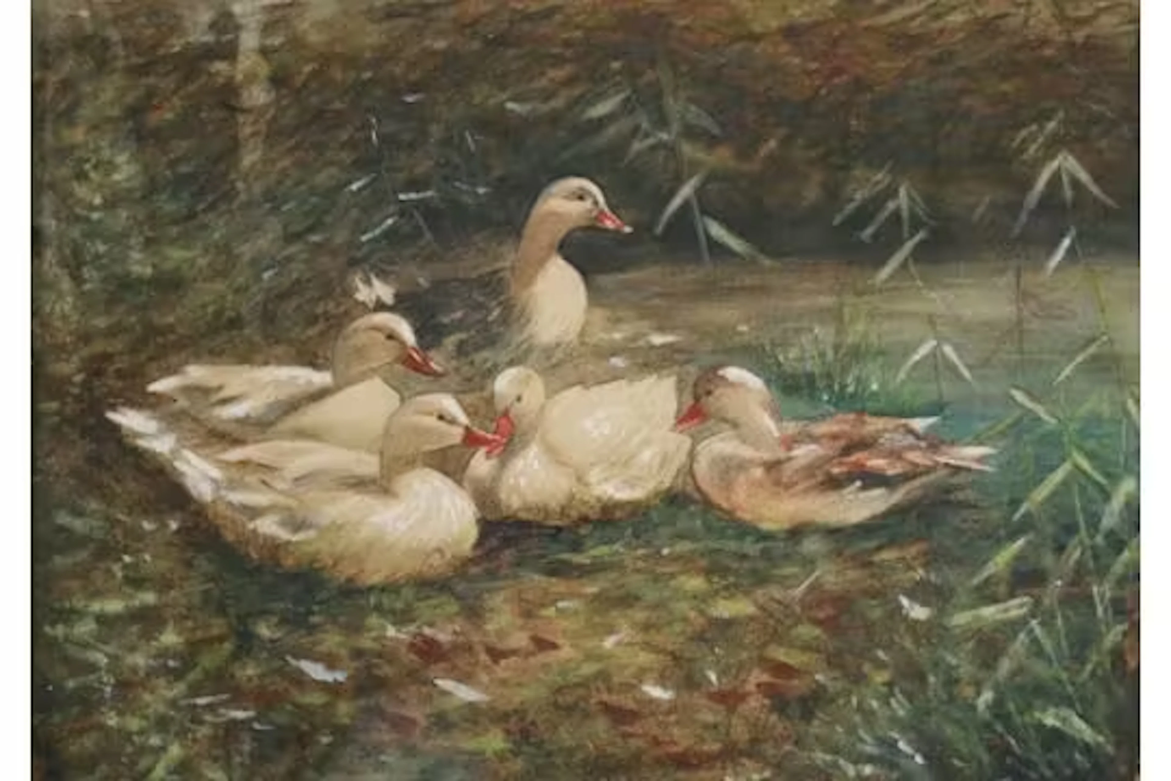 Koester, Alexander Max