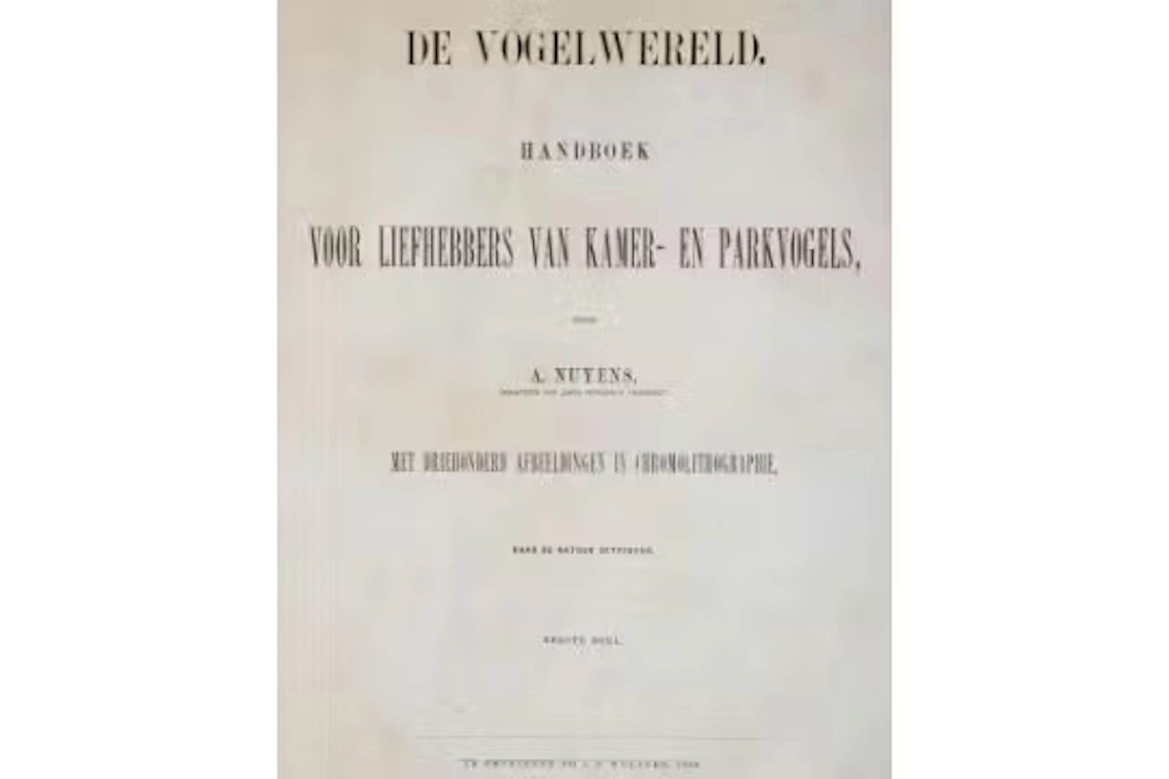 Nuyens,A.