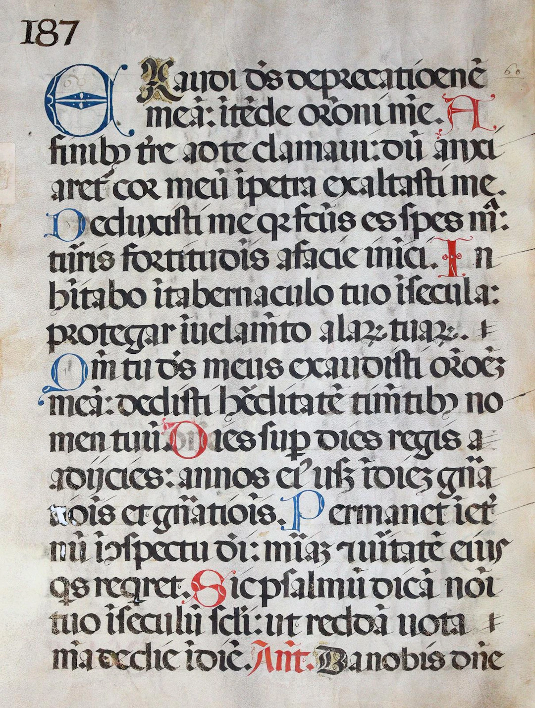 Psalter. 2 beidseit. beschriebene Blatt aus einem lat. Psalter auf
