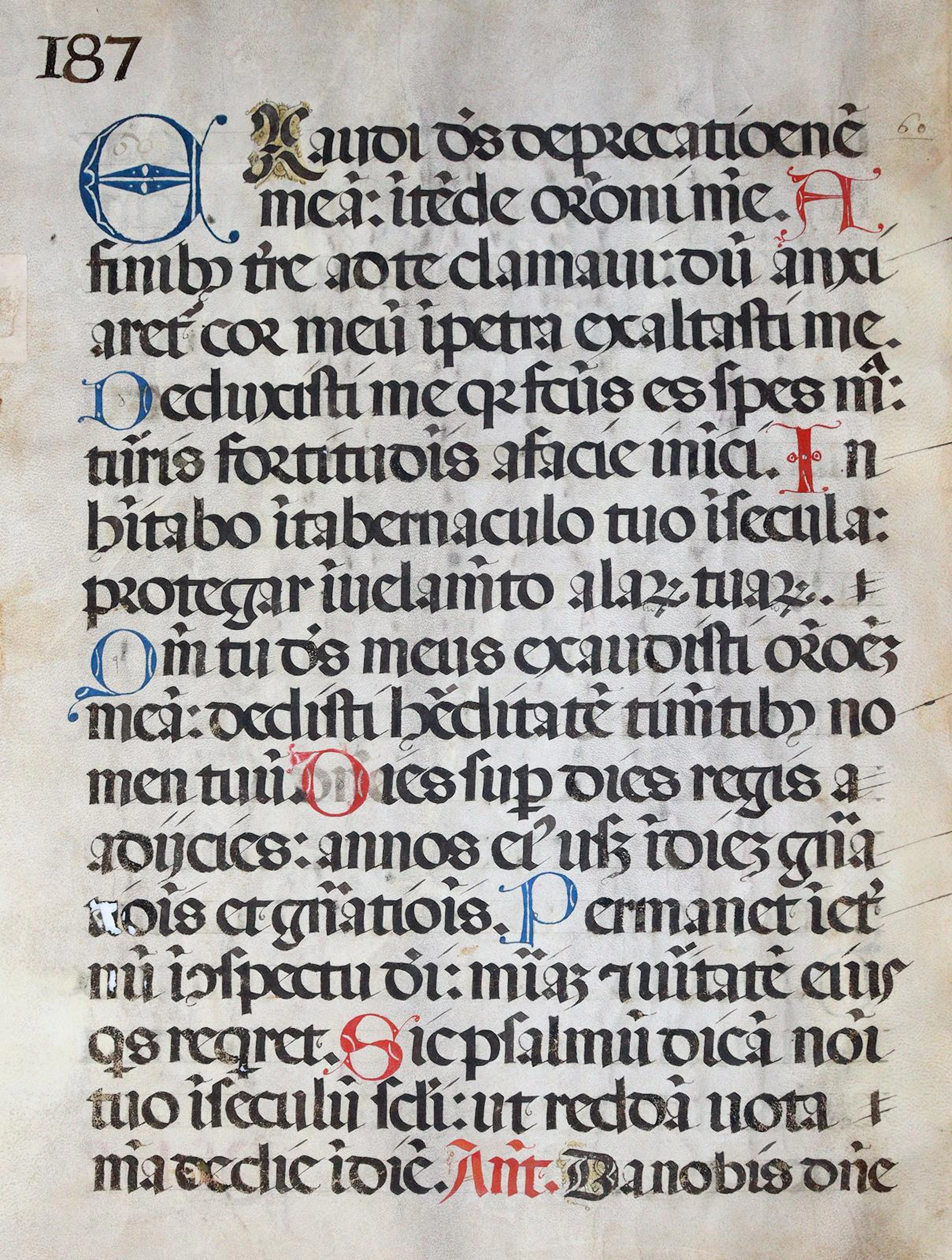 Psalter. 2 beidseit. beschriebene Blatt aus einem lat. Psalter auf