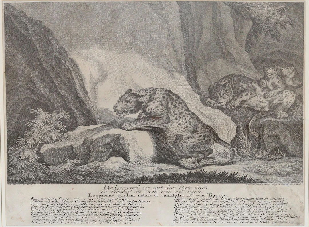 Ridinger, Johann Elias (1695-1767)