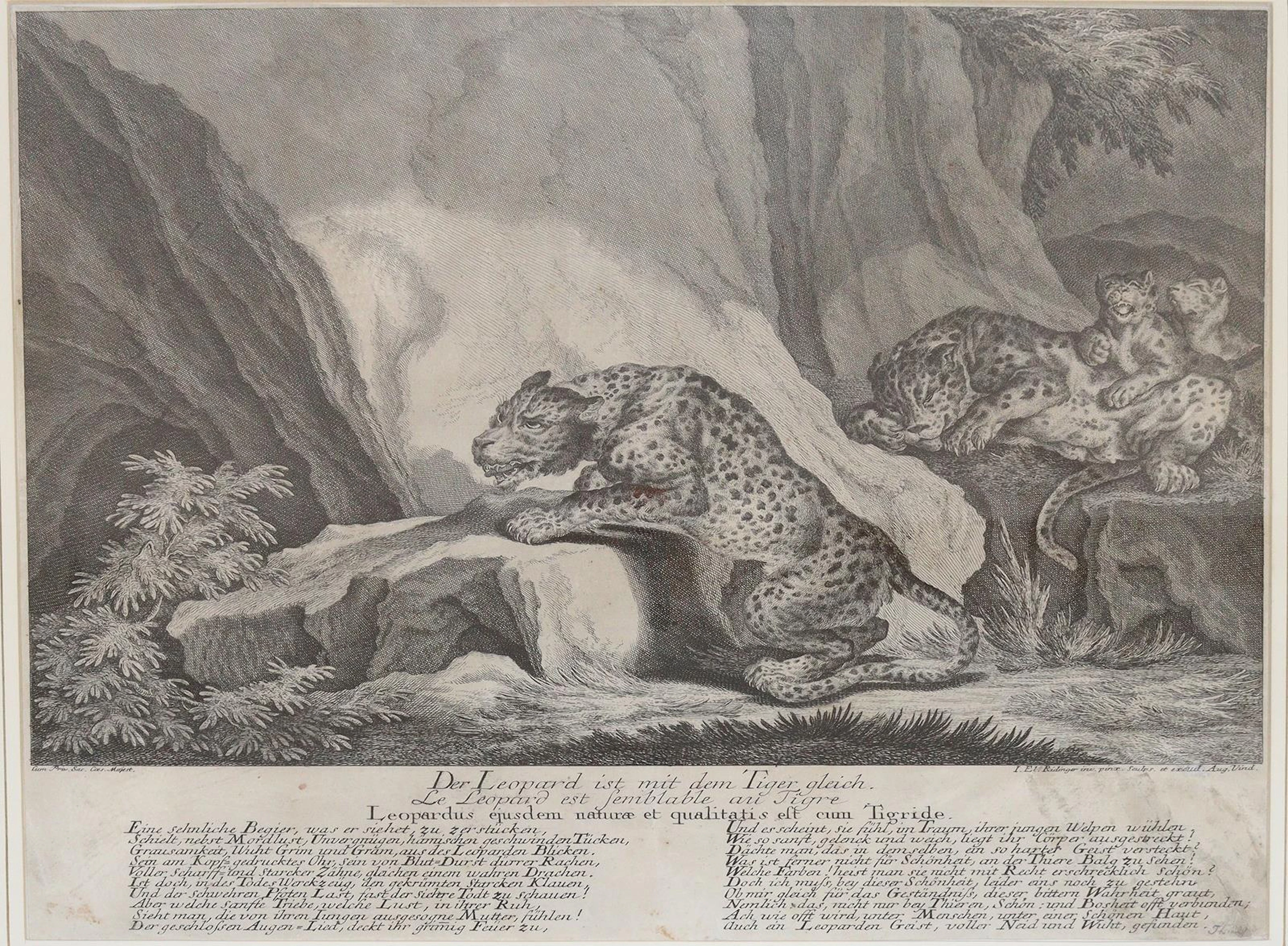 Ridinger, Johann Elias (1695-1767)